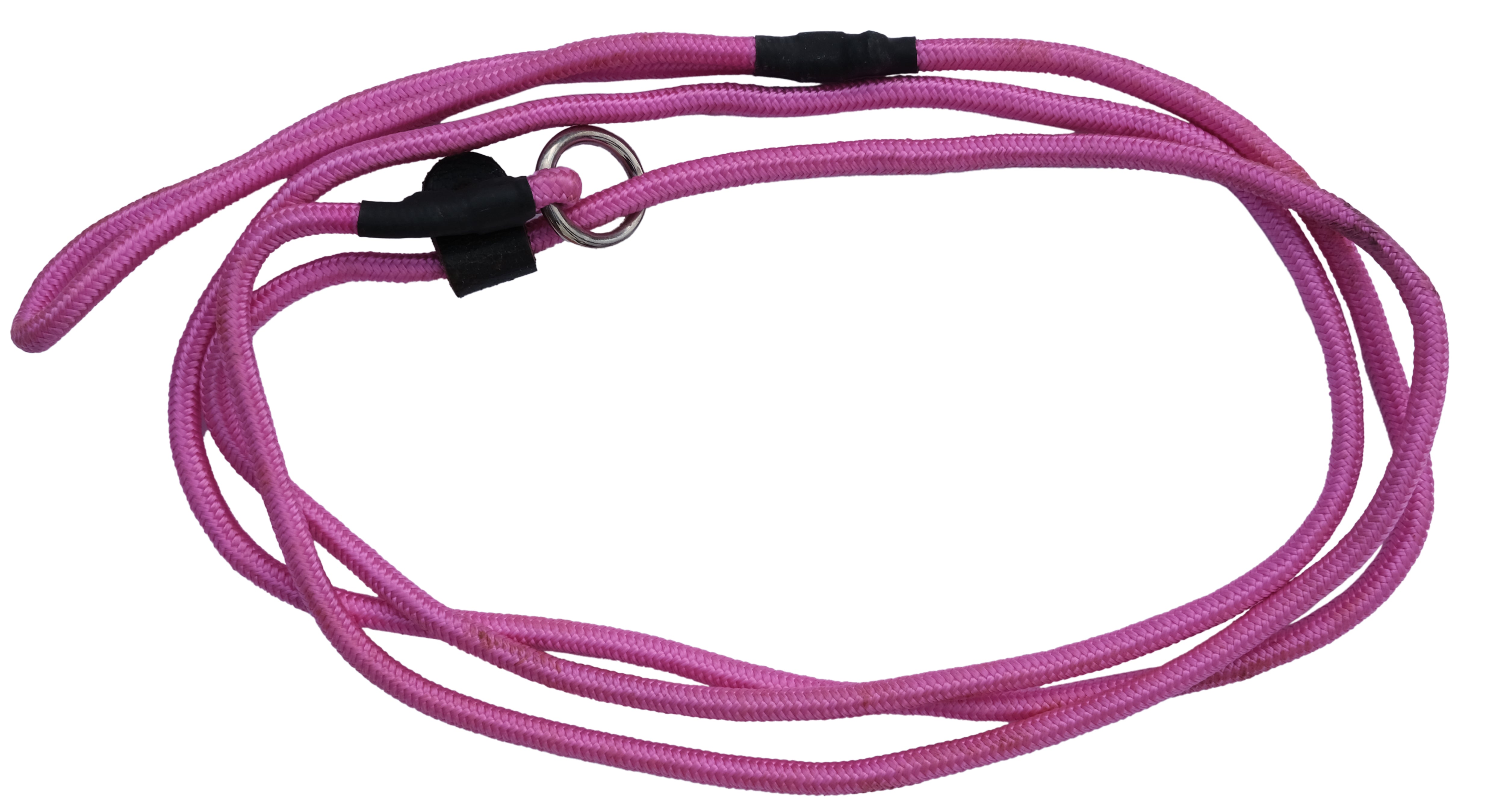 Clearance Dog Lead