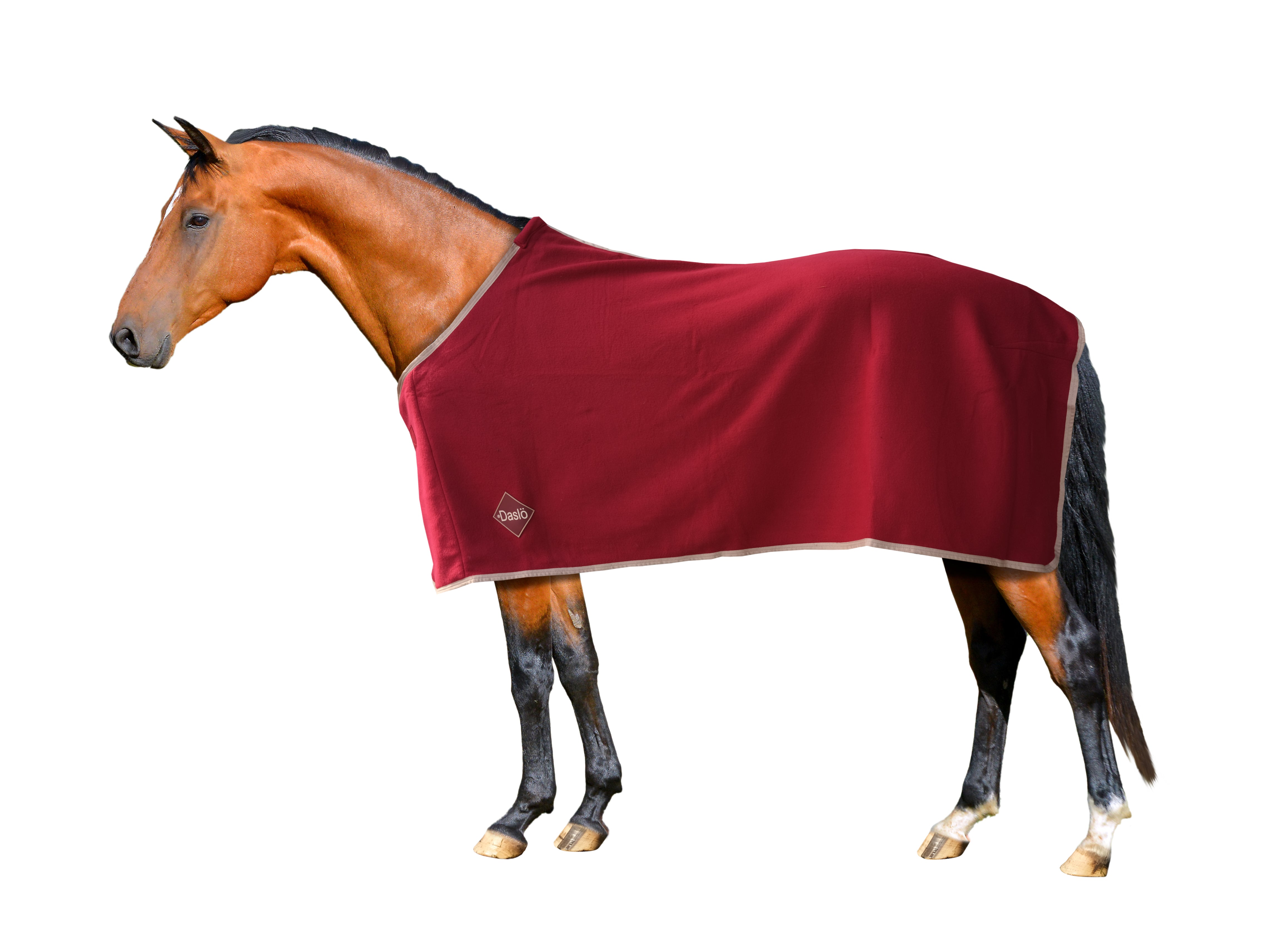 Clearance Fleece Rug (Asst)