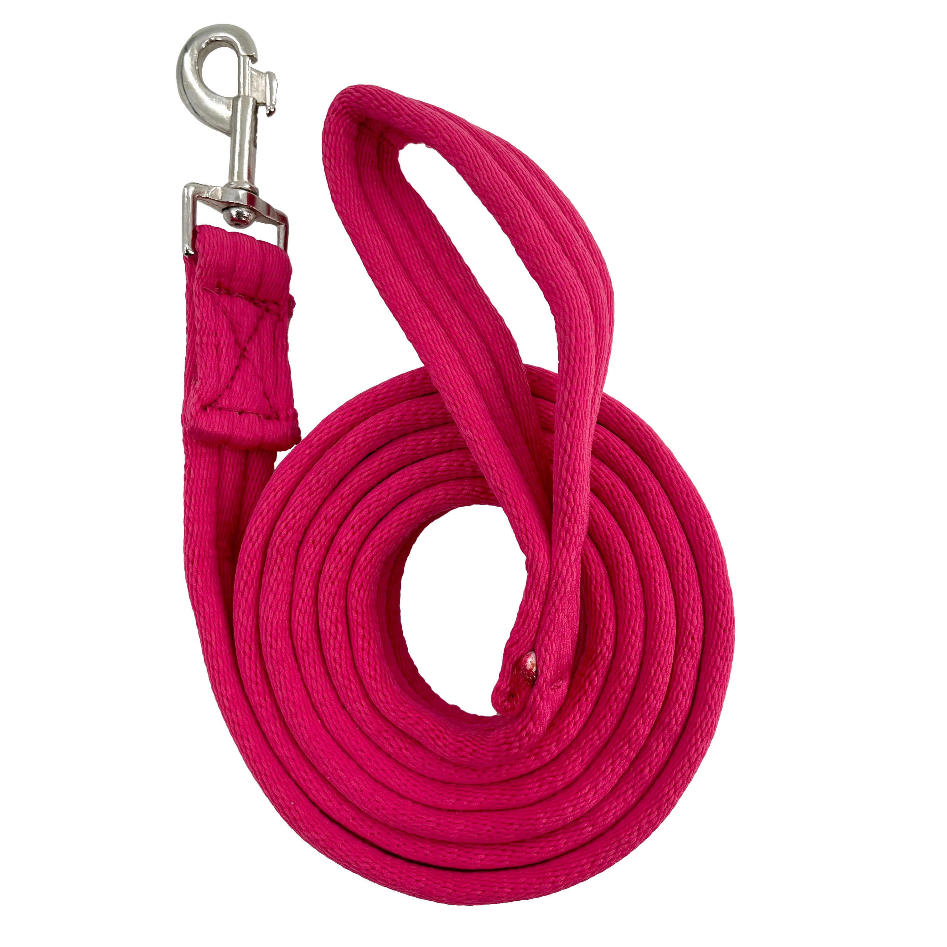 Clearance Padded Lead Rope (Asst)