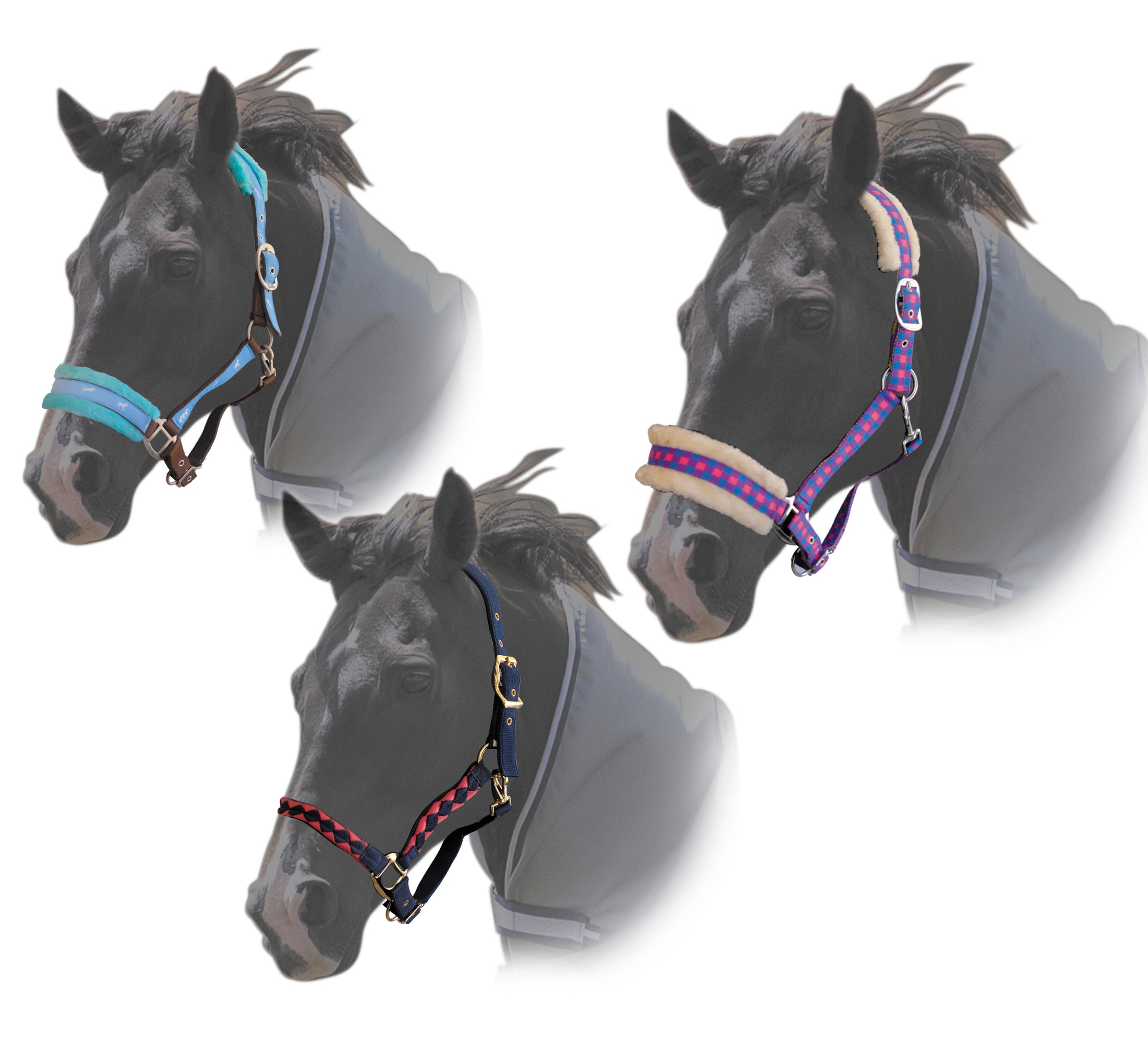 Clearance Halter Asst