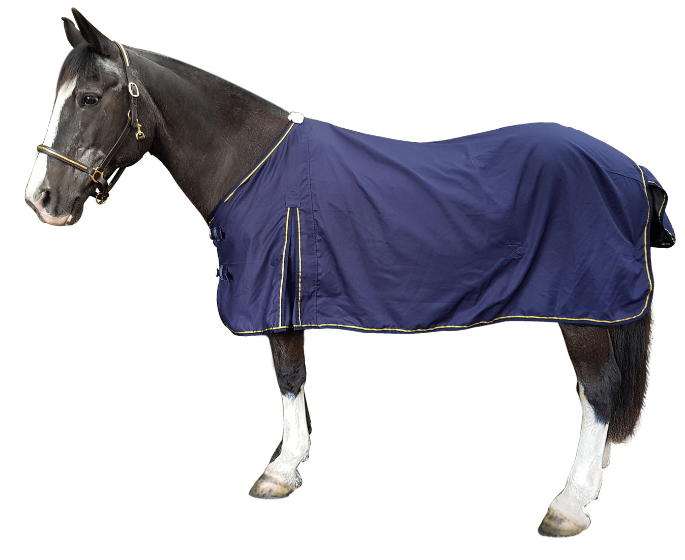 Kiwi Cotton Dress Rug Black / 3.9
