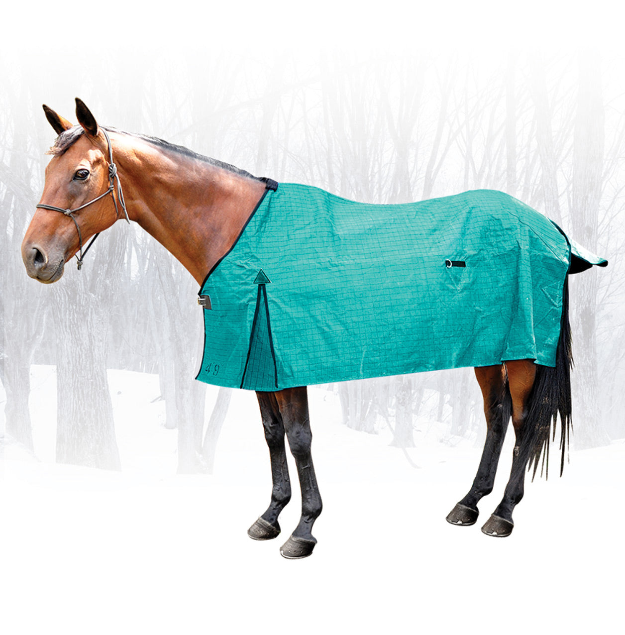 18oz Econ Jute Lined Canvas Rug One / 3.9