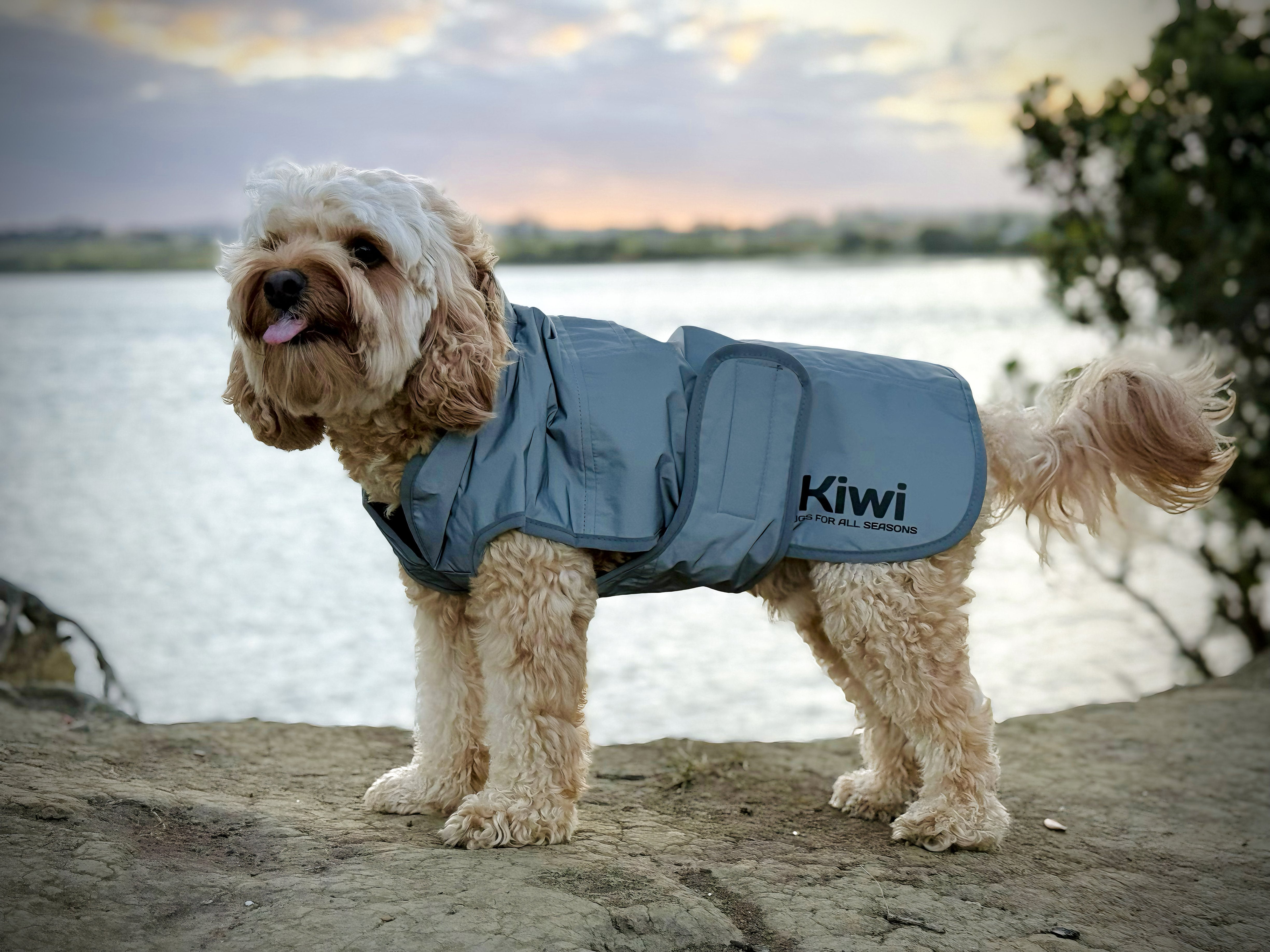 Kiwi Reflective Dog Coat One / 25cm