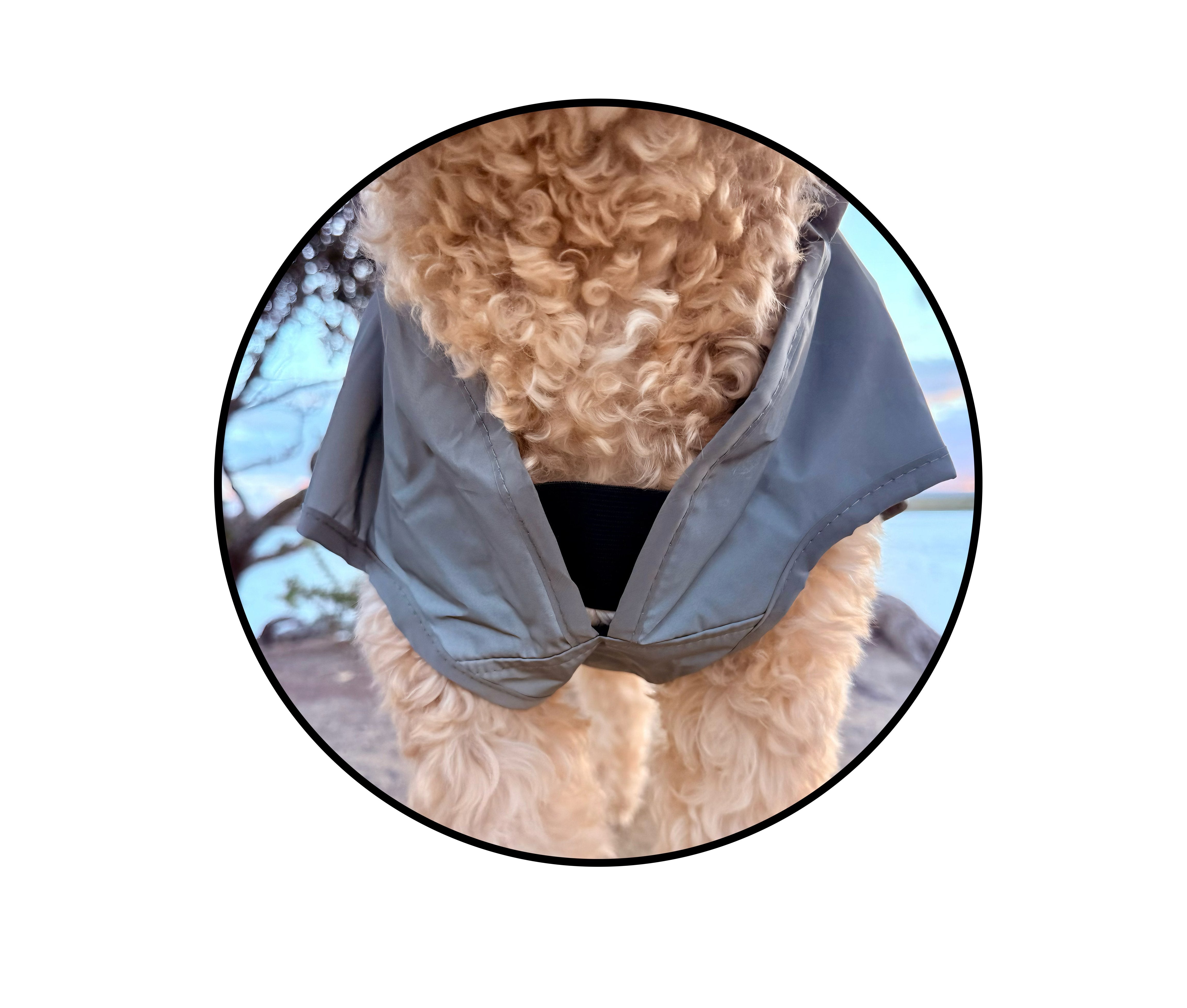 Kiwi Reflective Dog Coat One / 25cm