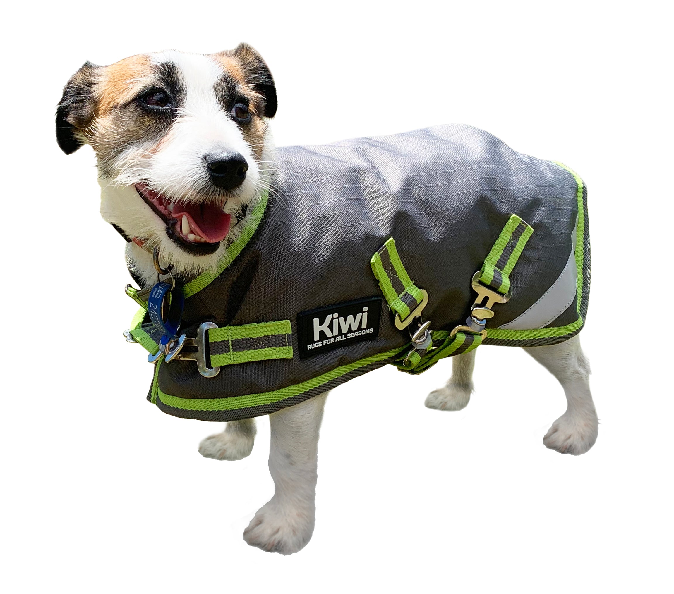 Kiwi 600D Dog Coat w/Surcingle 200g / 12