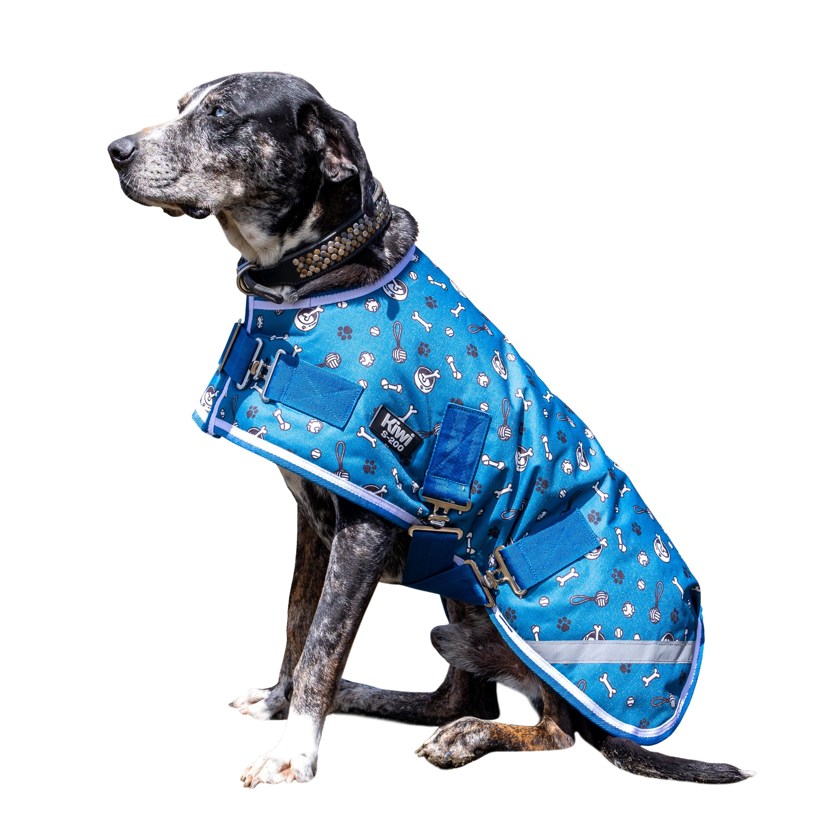 Kiwi 600D Dog Print Coat w/Surcingle 200g / 12