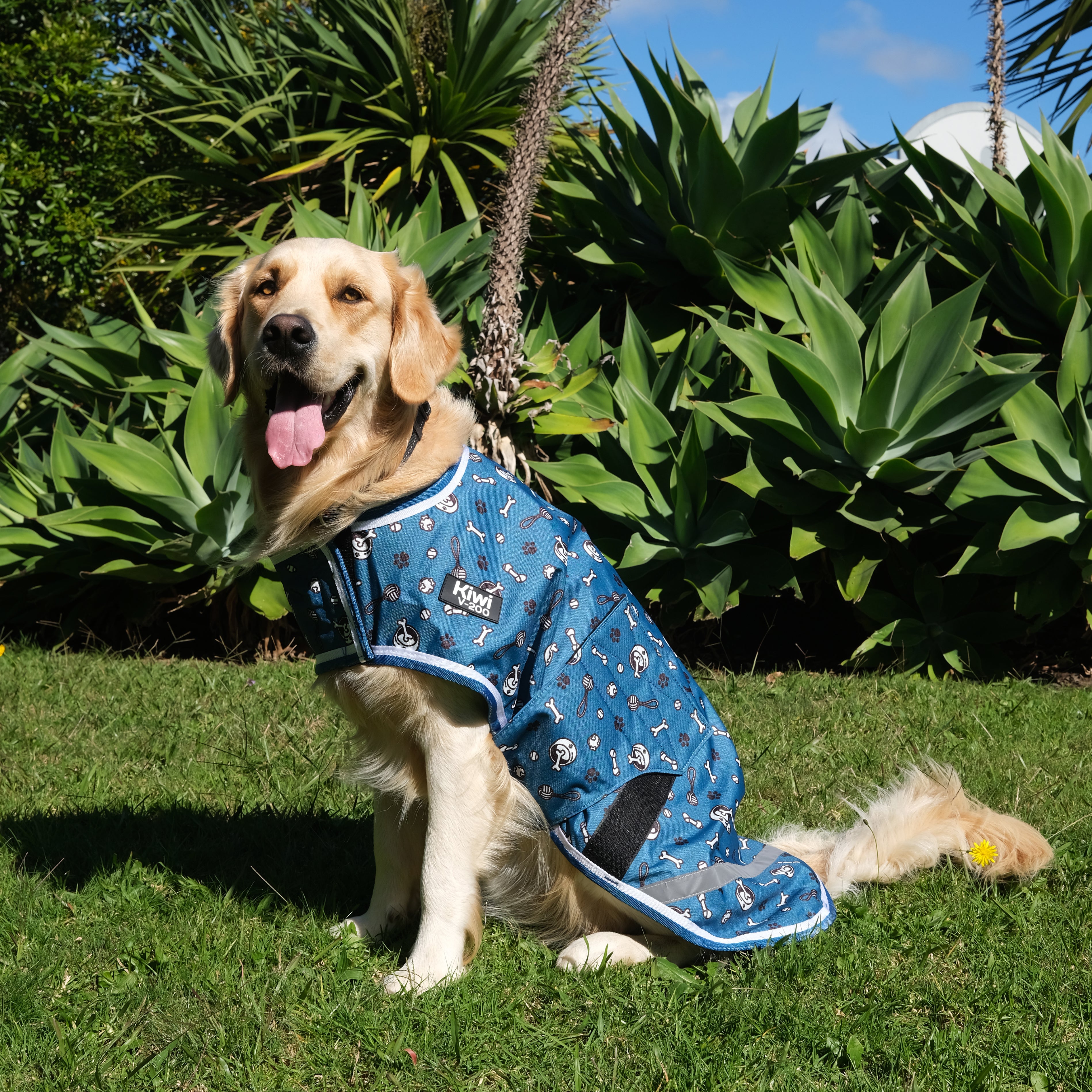 Kiwi 600D Dog Print Coat w/Velcro 200g / 12