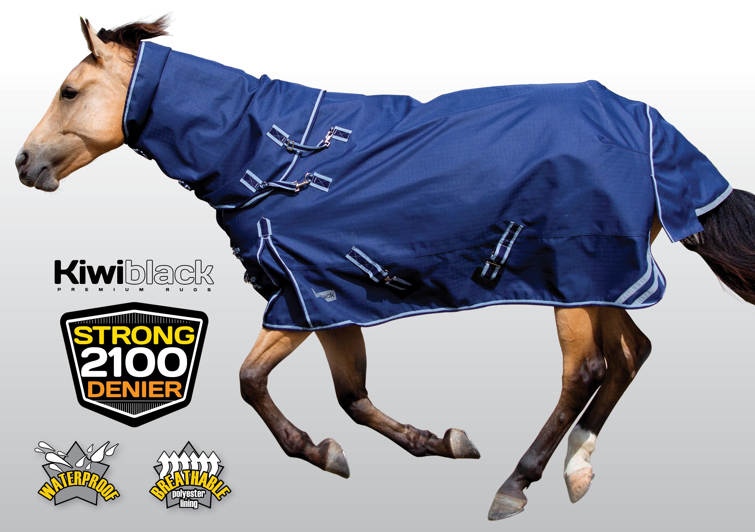 KiwiBlack 2100 Winter Rug Set 100g One / 3.9