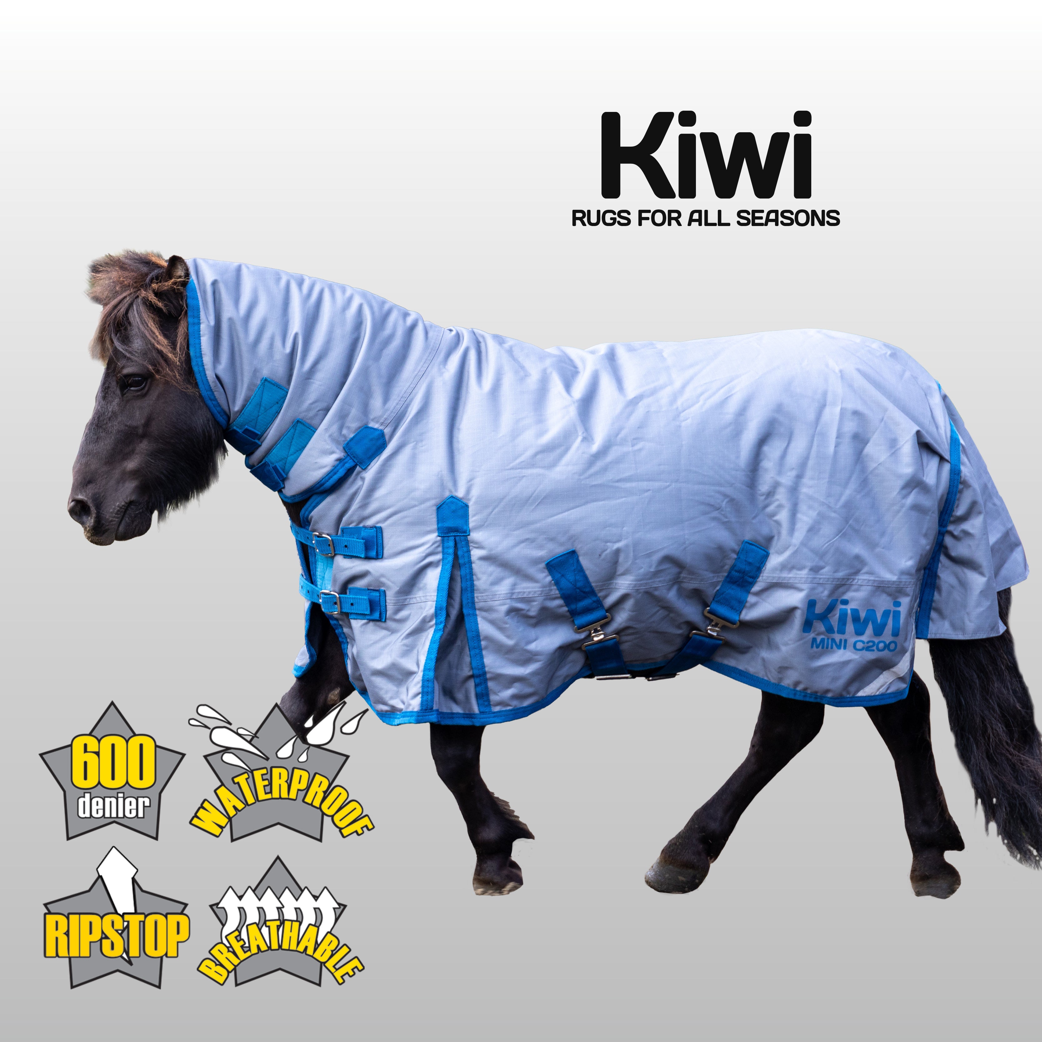 Kiwi 600 Winter Mini Combo 200g One / 24