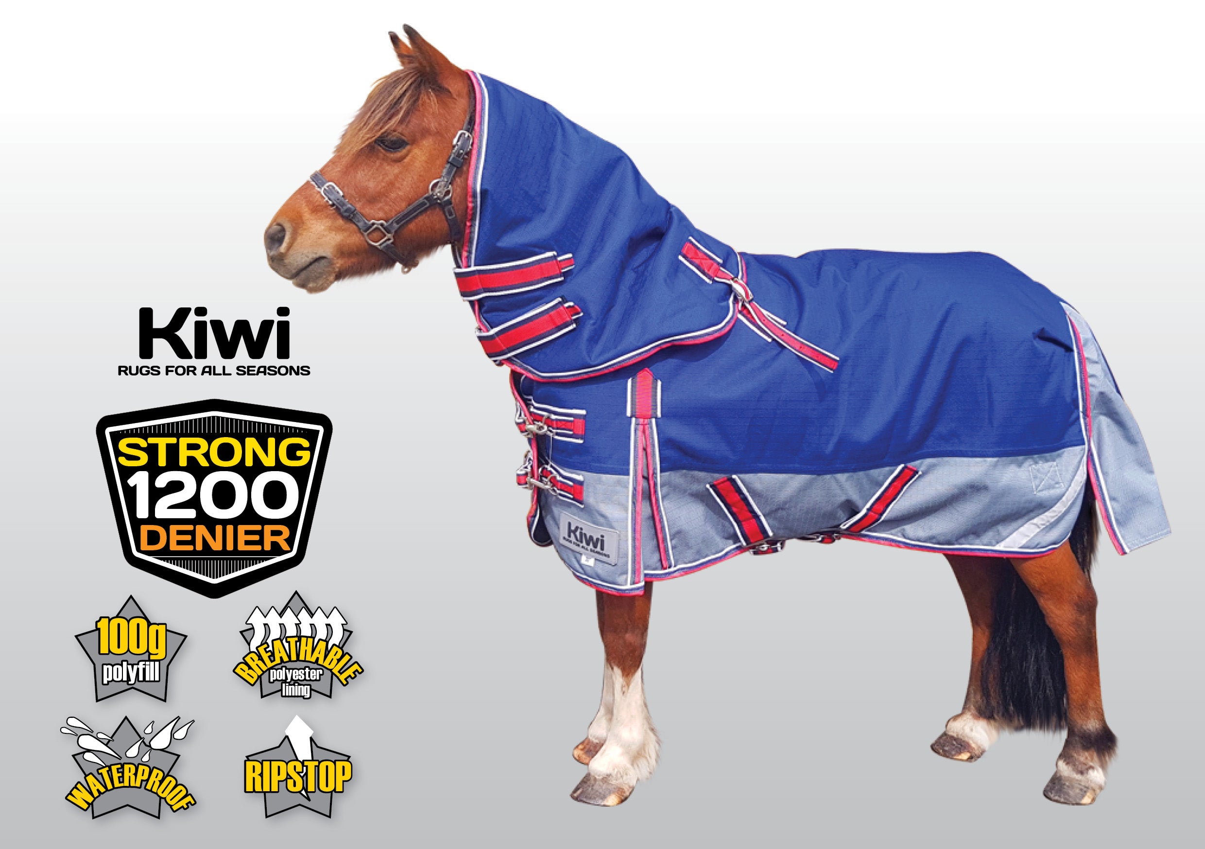 Kiwi 1200 Winter Mini Rug Set 100g One / 24