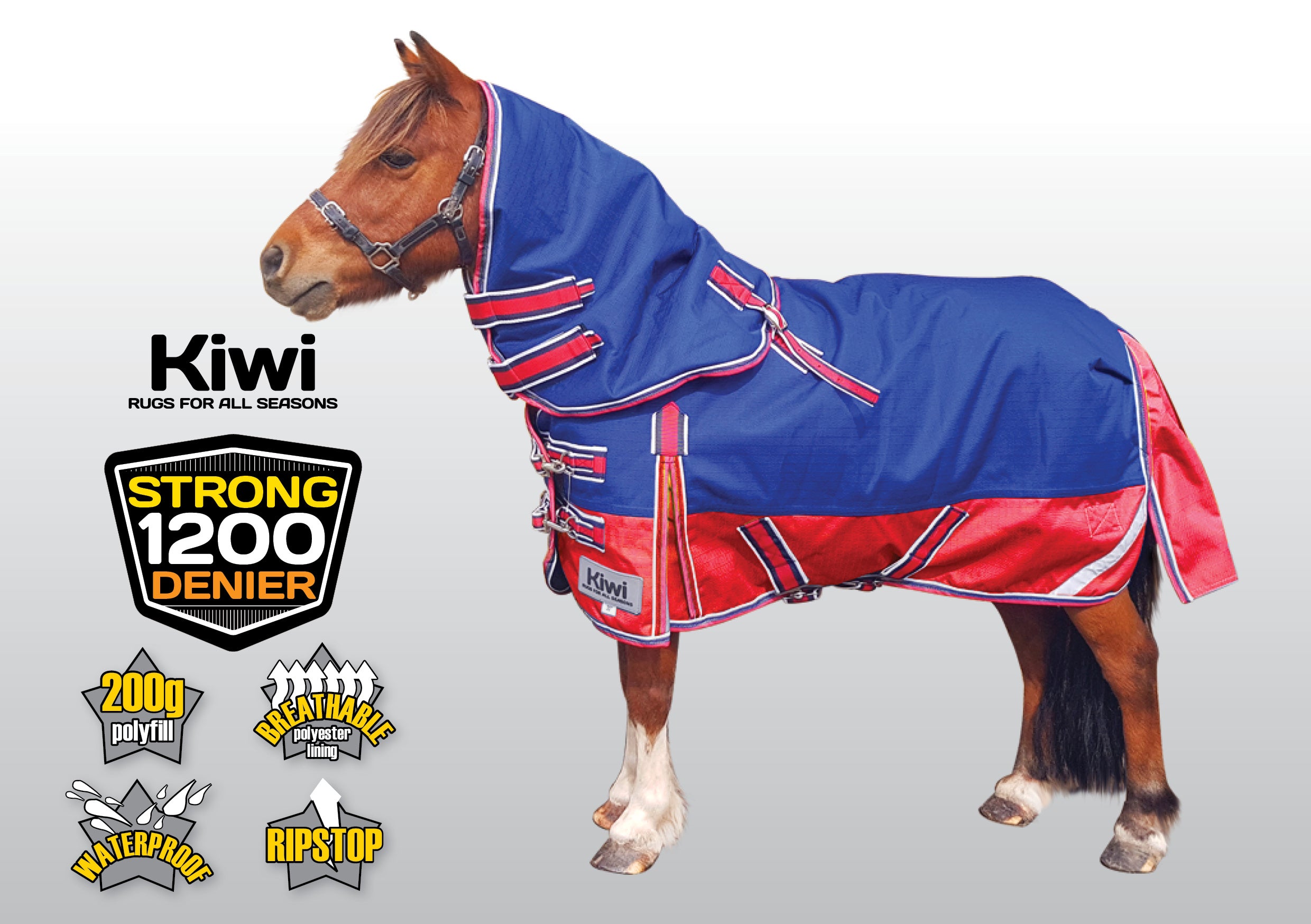 Kiwi 1200 Winter Mini Rug Set 200g One / 24