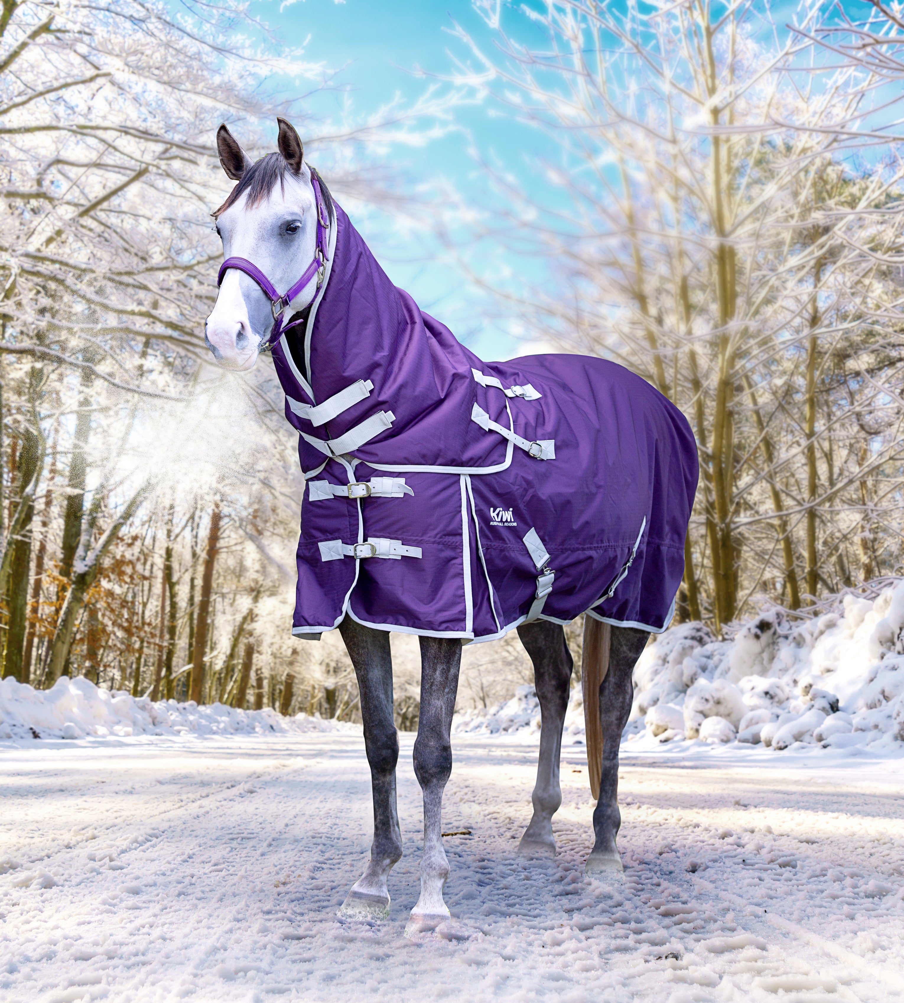 Kiwi 600 Winter Rug Set 150g One / 3.6