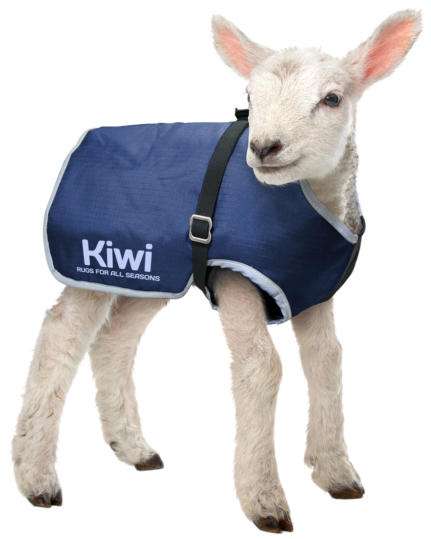 Kiwi Lamb Cover Synthetic One / 15in