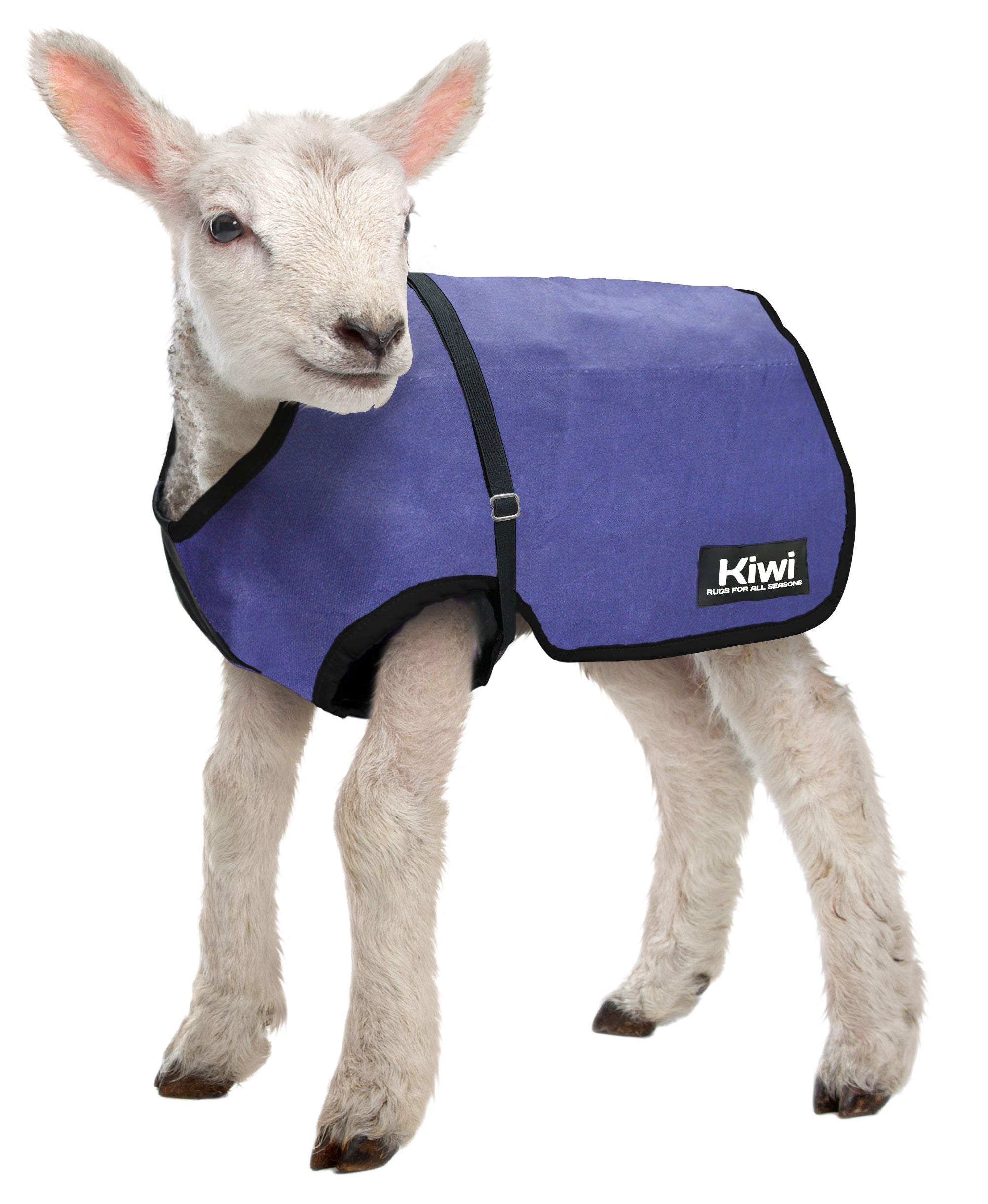 Kiwi Lamb Cover 15oz Wool Lined One / 15in