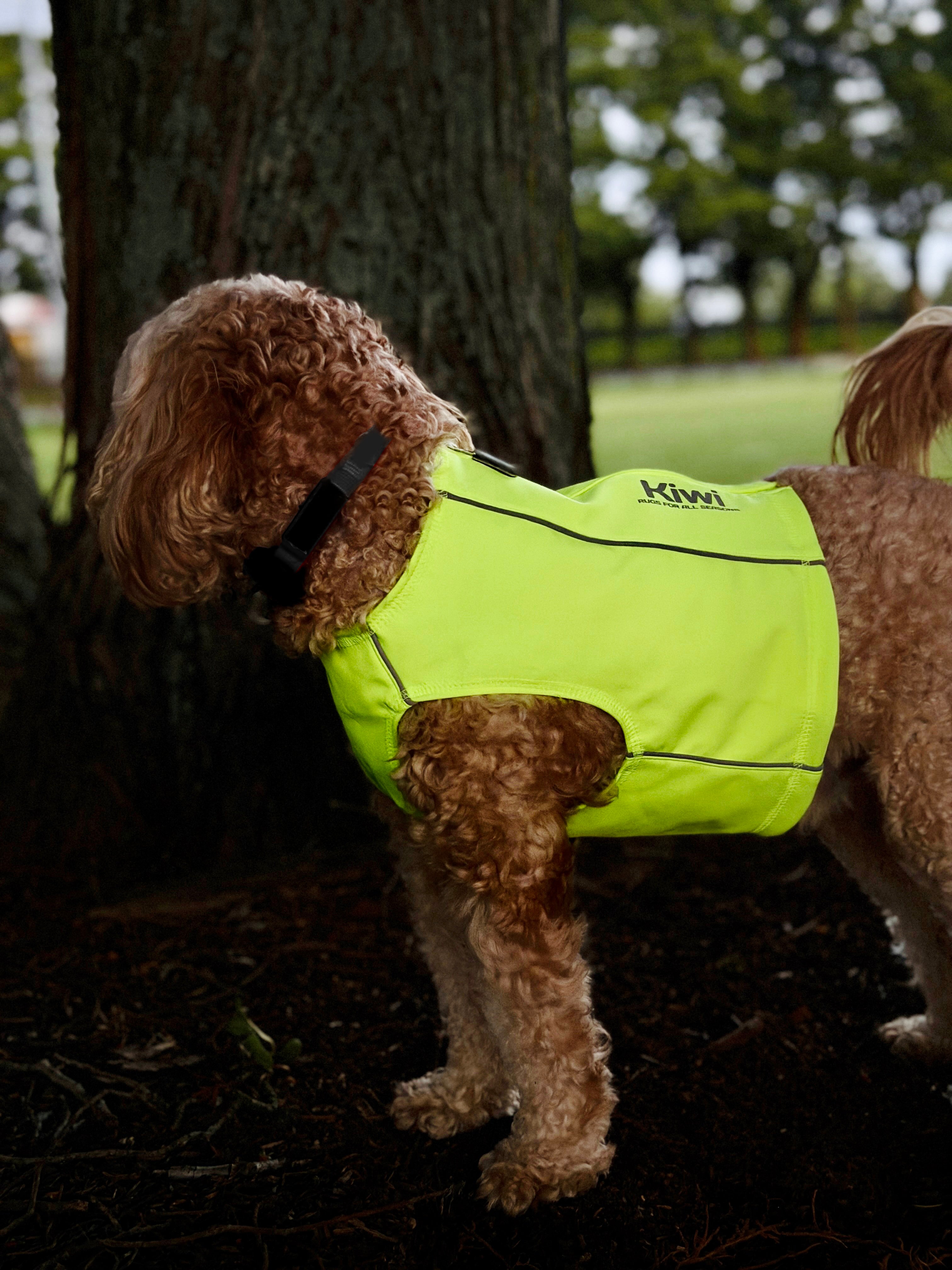 Reflective Dog Vest One / Large