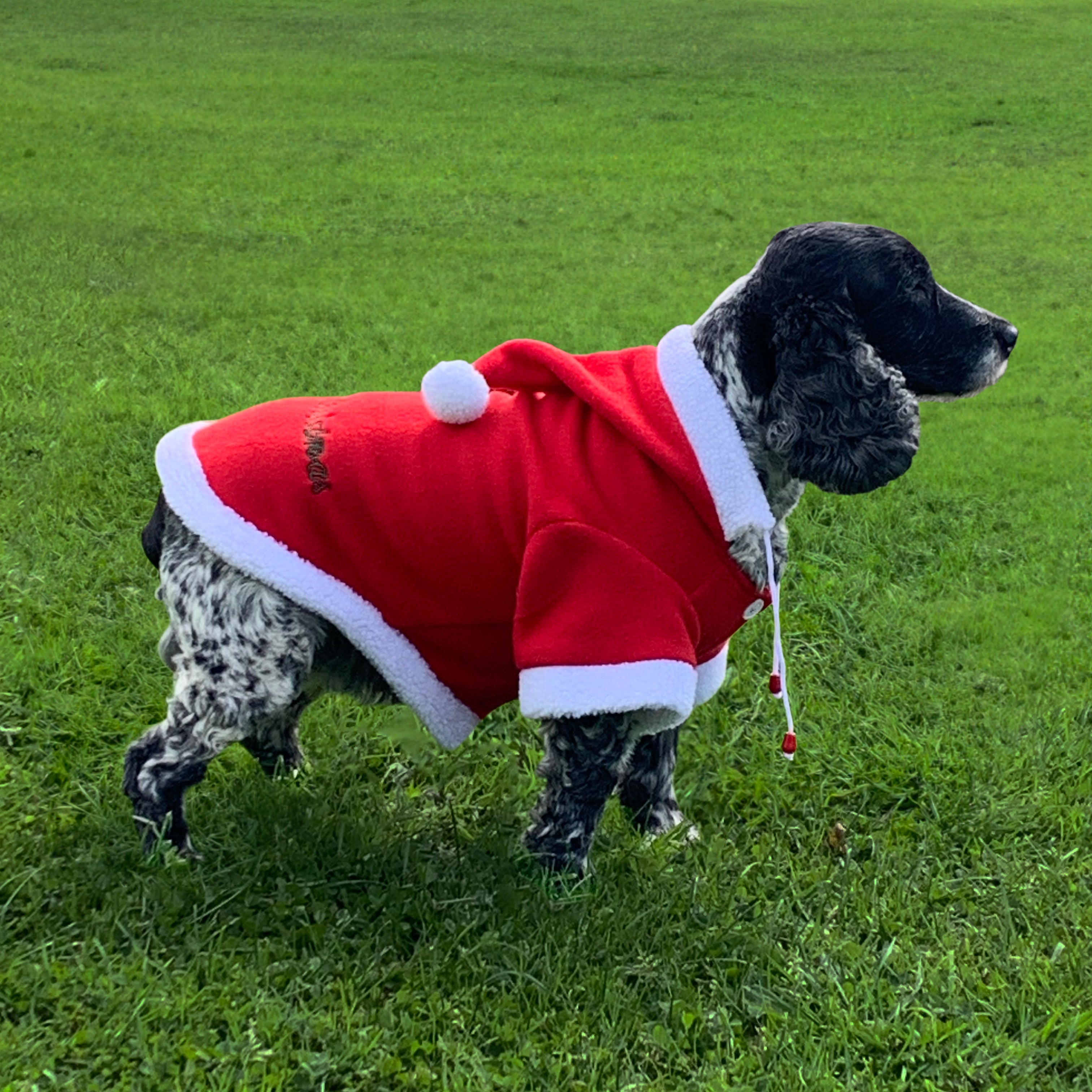 Santa Dog Coat One / 25