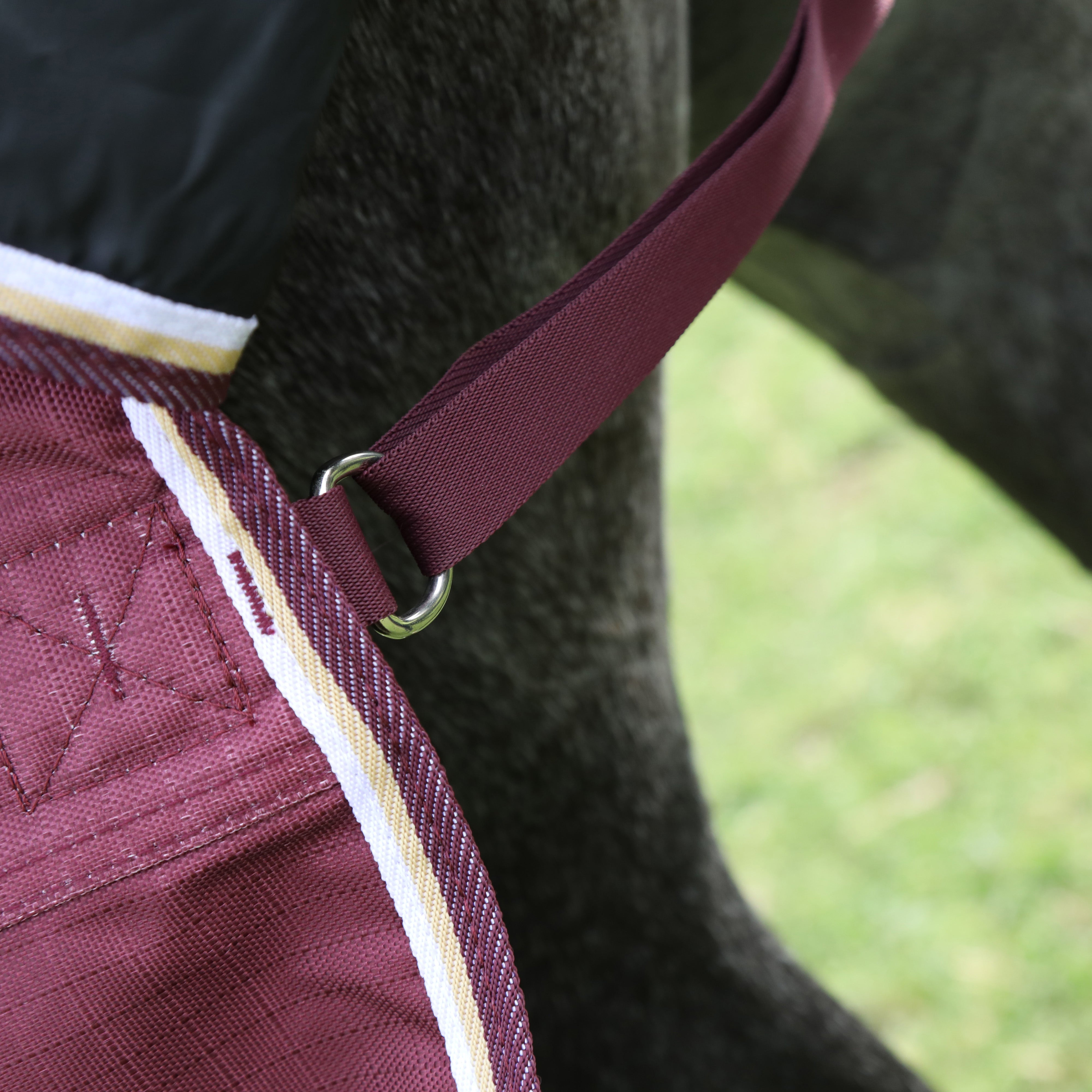 Shires Highlander Plus Combo 100g One / 3.6