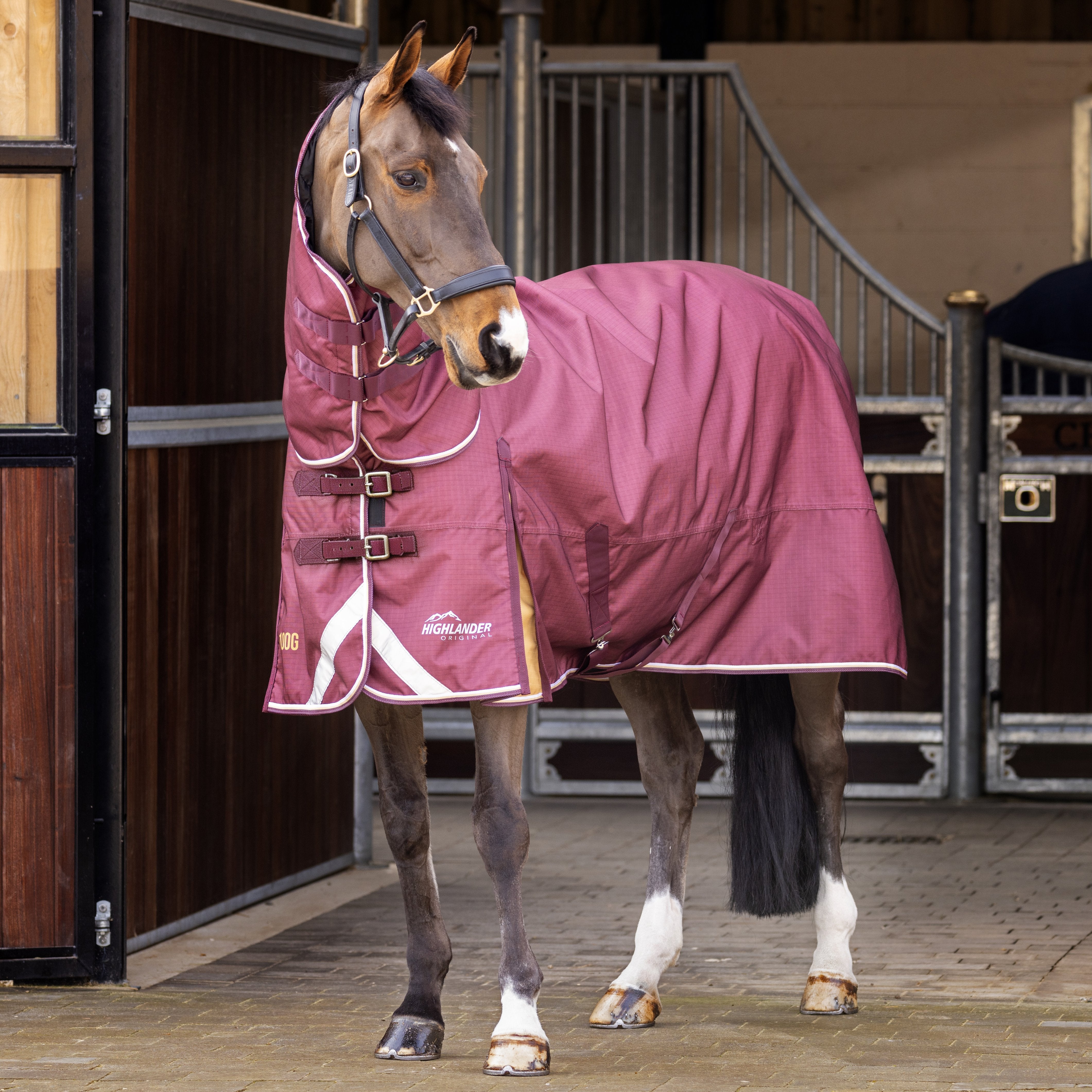 Shires Highlander Plus Rug Set 100g One / 3.6