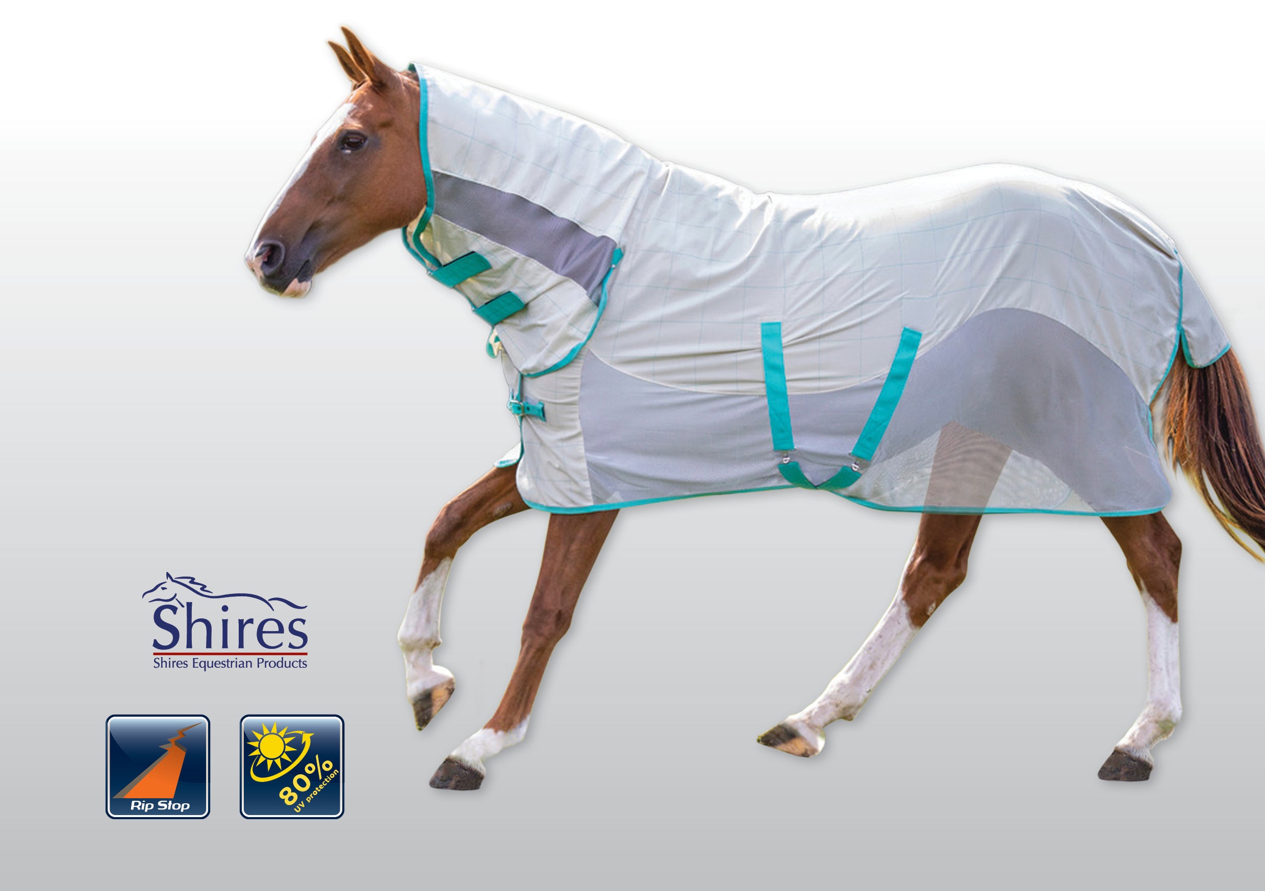 Shires Tempest Crossover Combo One / 4.3