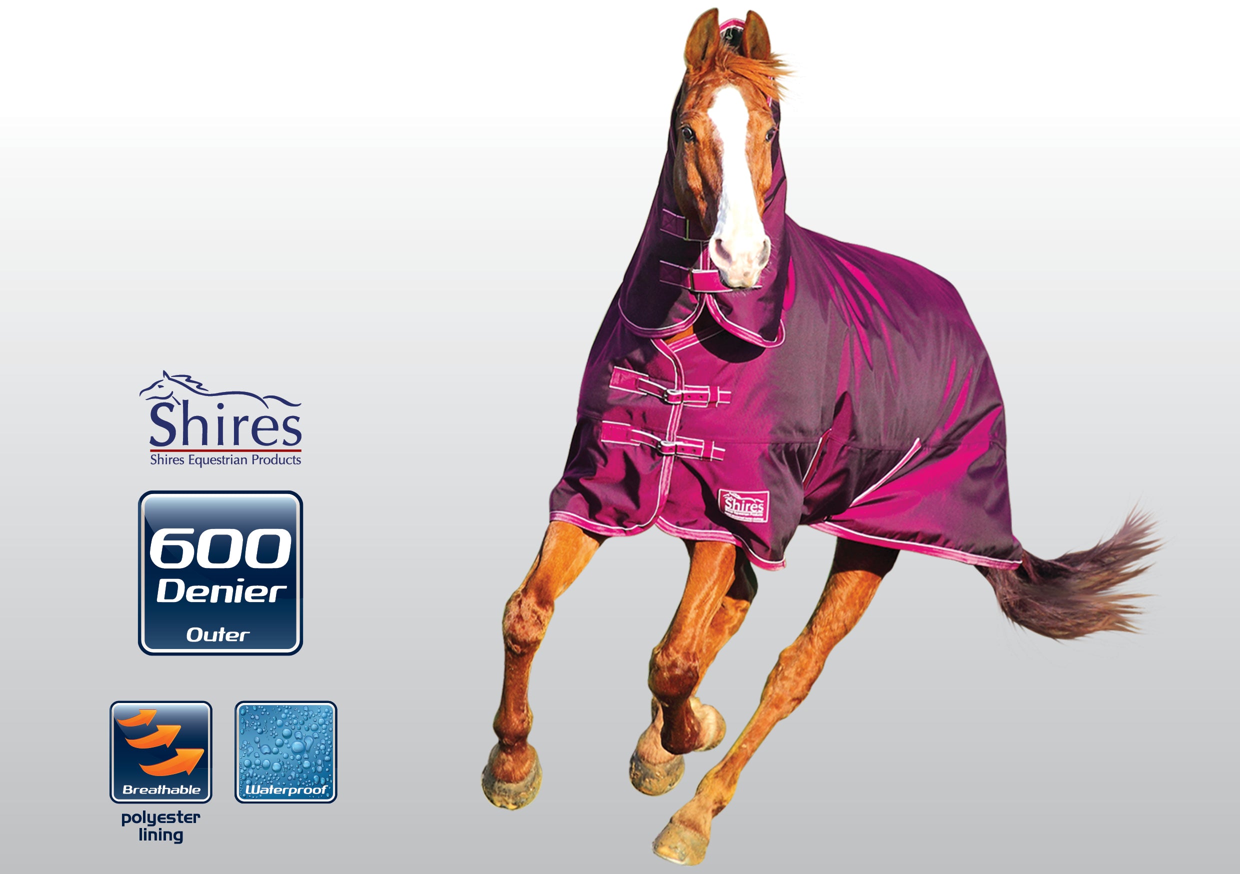 Shires Tempest Lite Combo One / 4