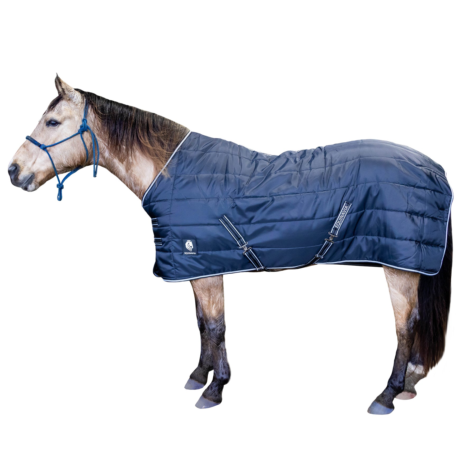 Clearance Equinavia Stable Rug One / NZ3.9