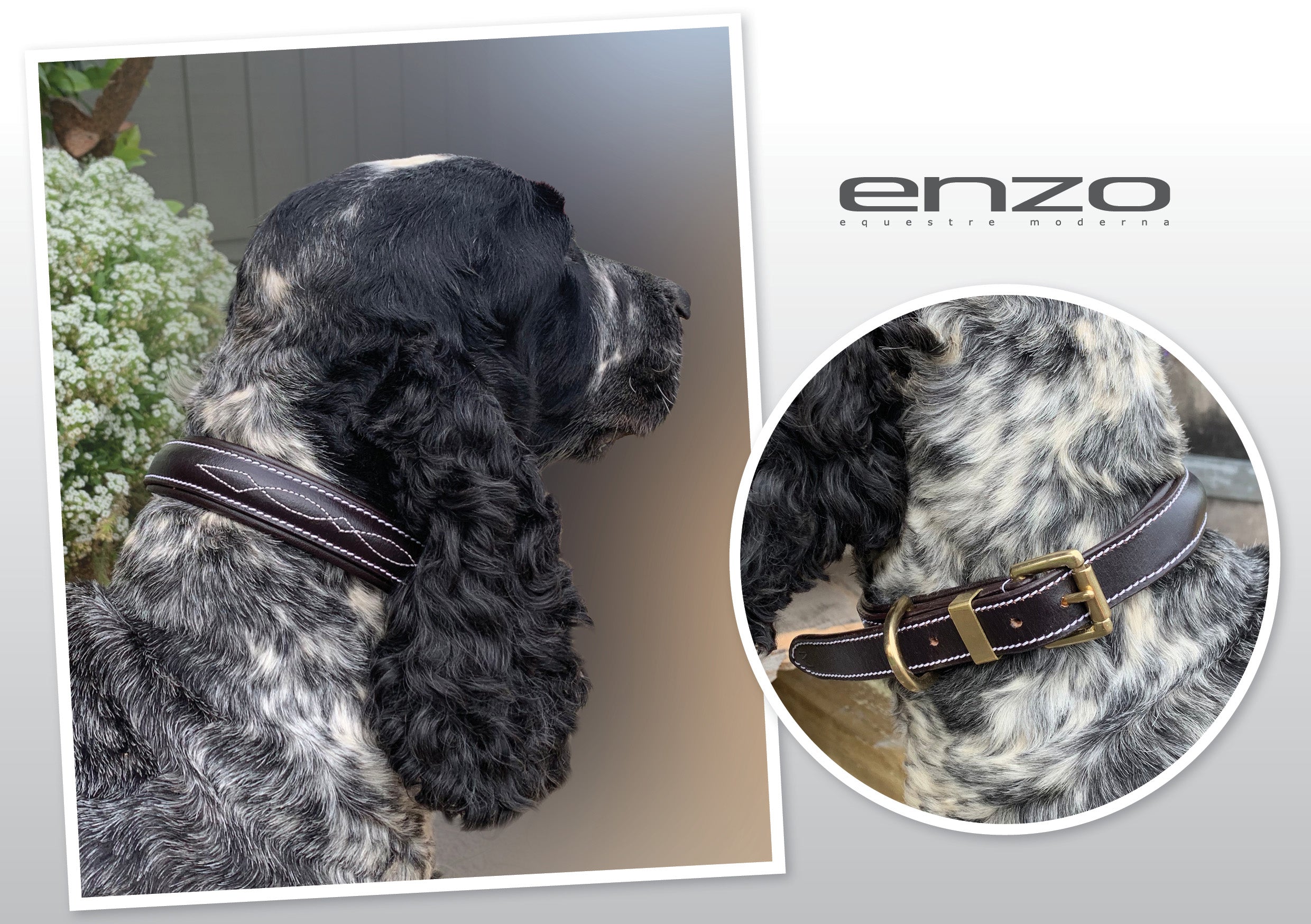 Enzo Leather Stitched Dog Collar One / Large