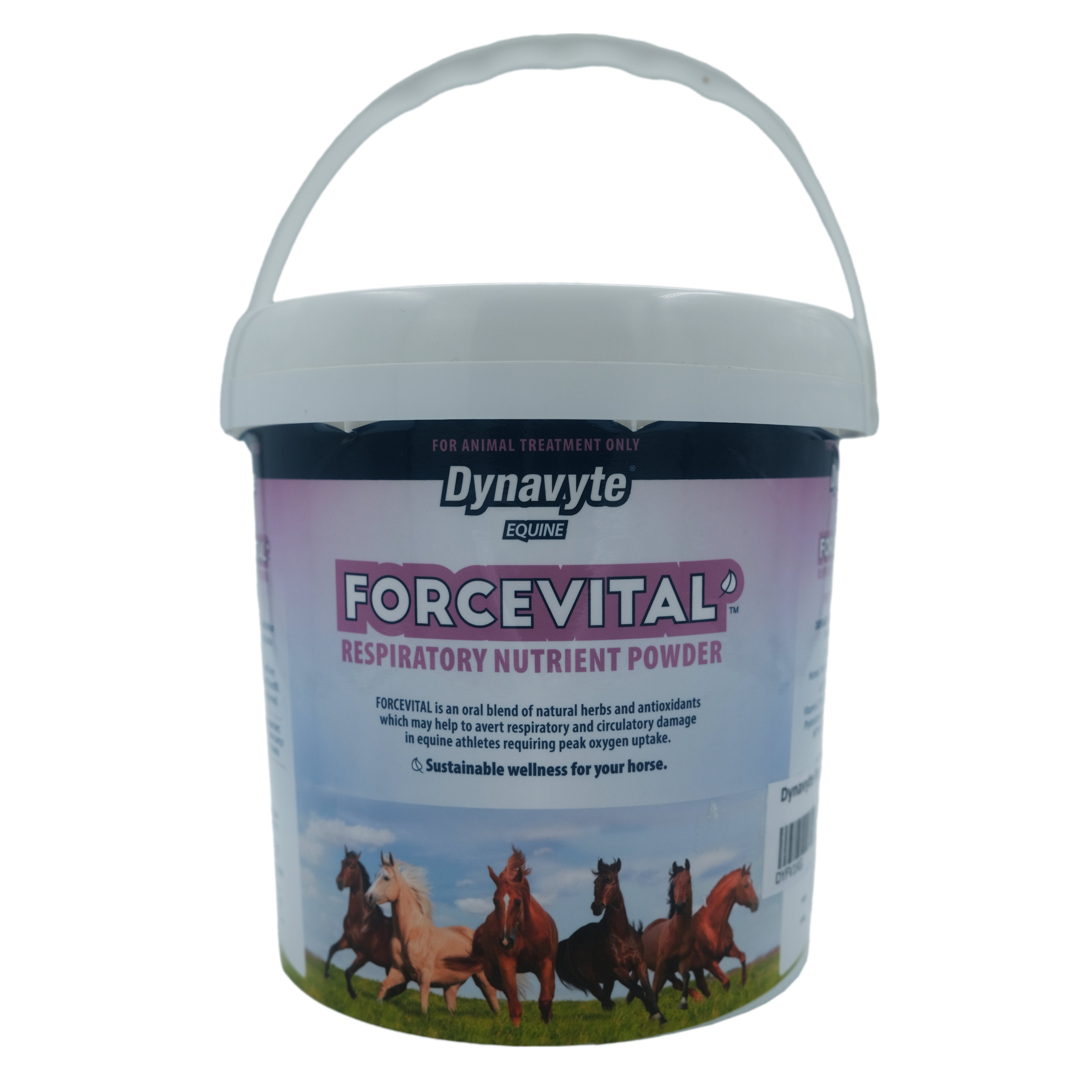 Dynavyte Force Vital (1kg)