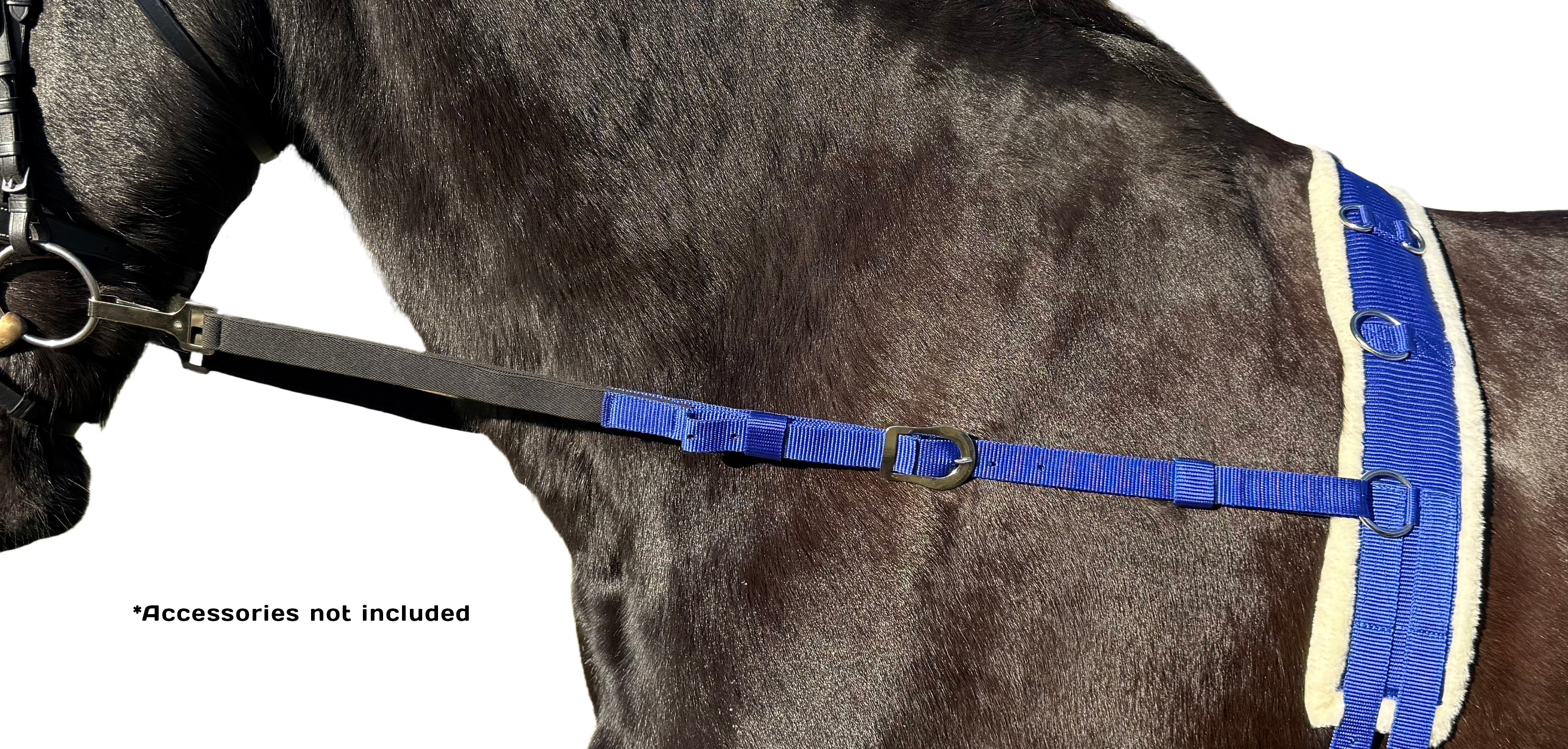 Enzo Side Rein Navy / All