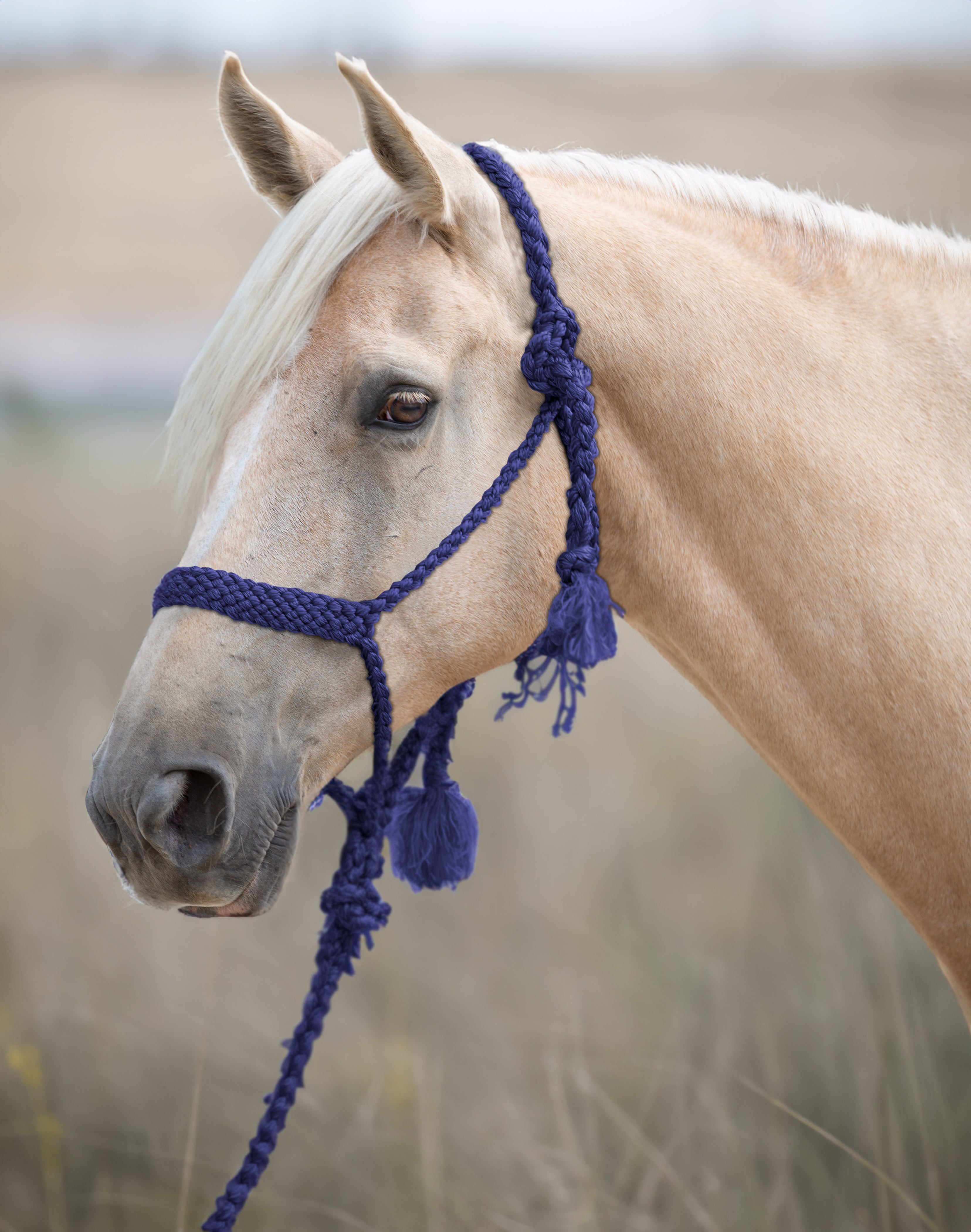 Enzo Braided Rope Halter Set