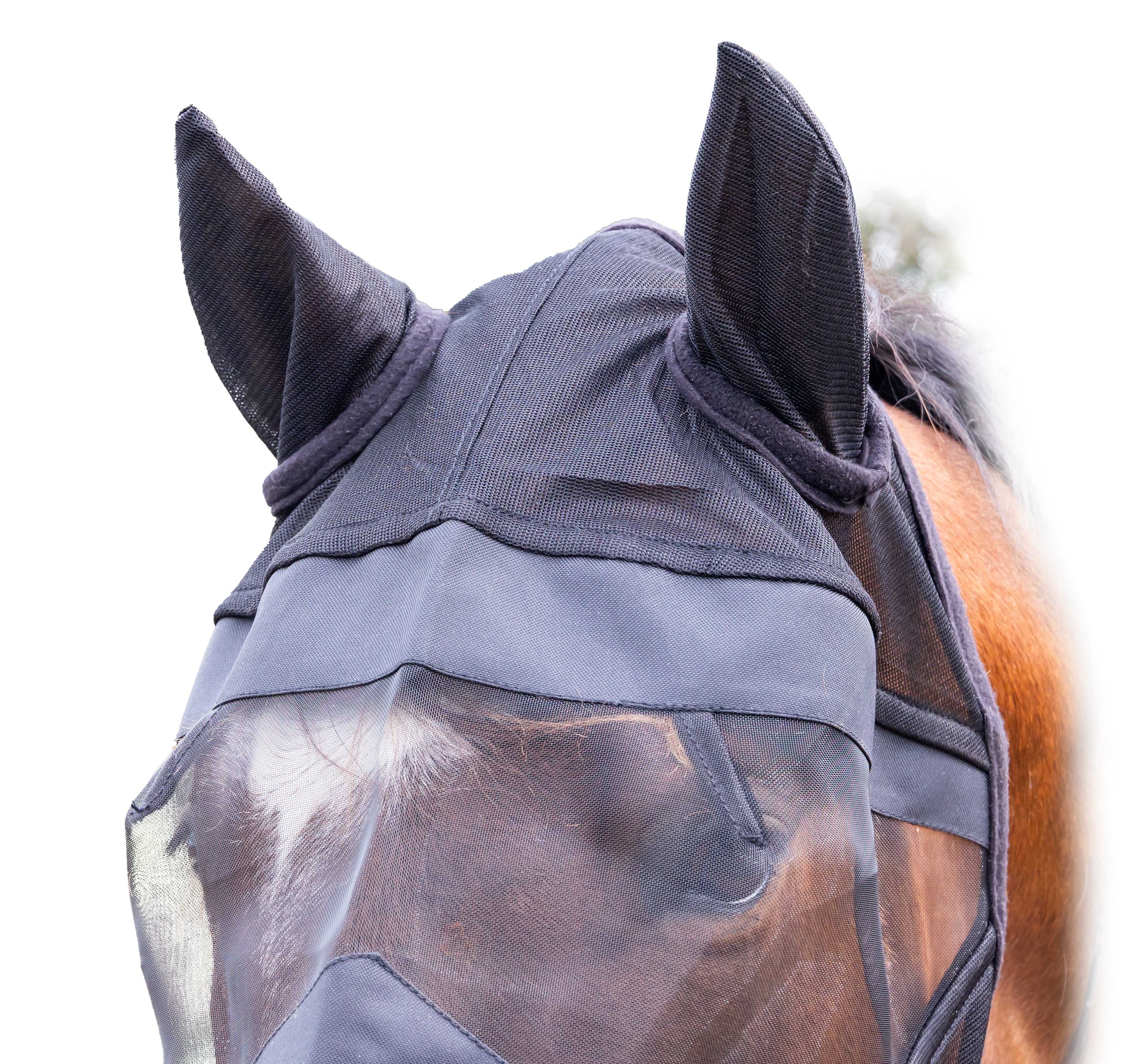 Enzo Fly Mask One / Cob