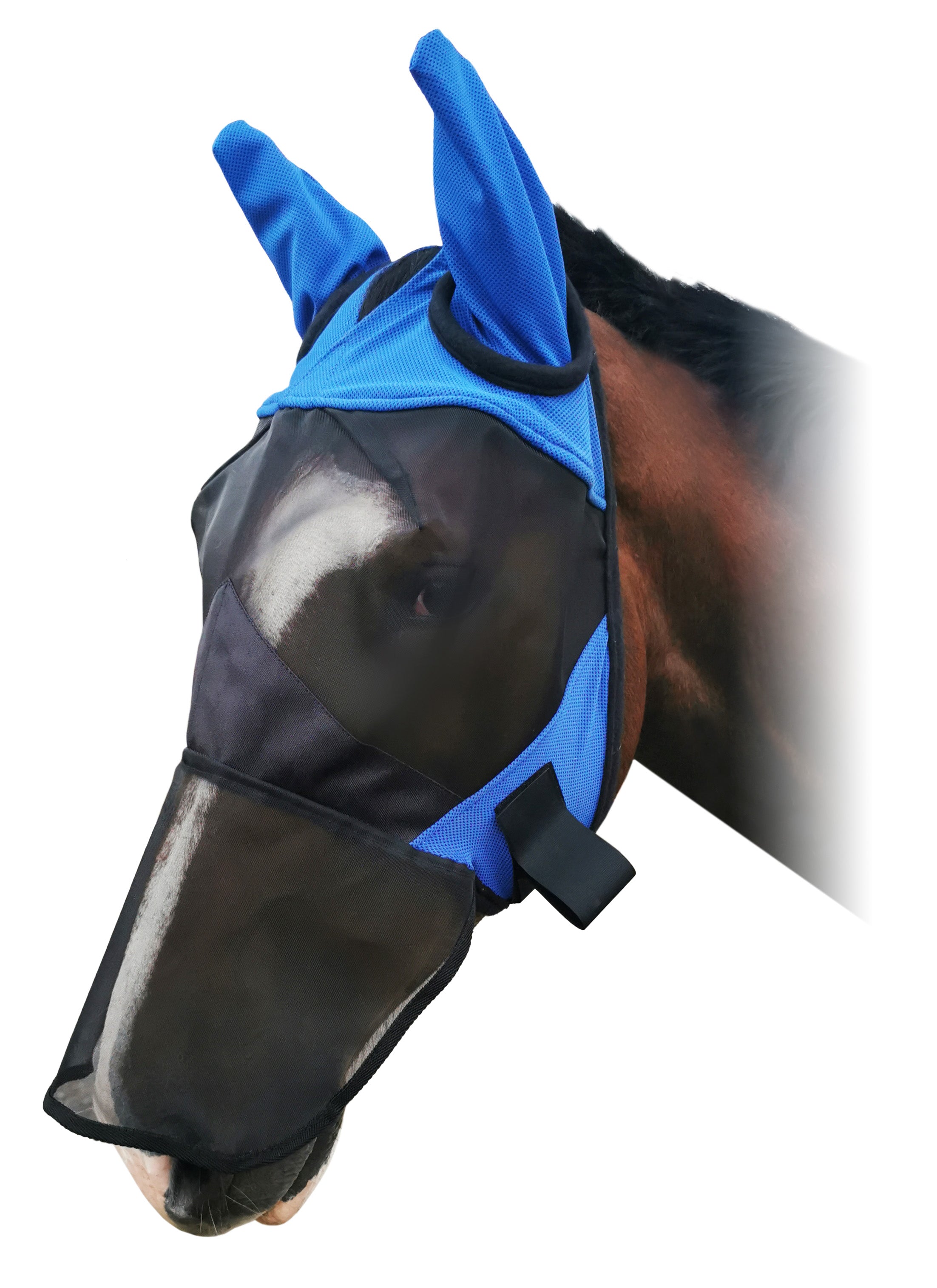Enzo Fly Mask with Ears and Nose One / Cob