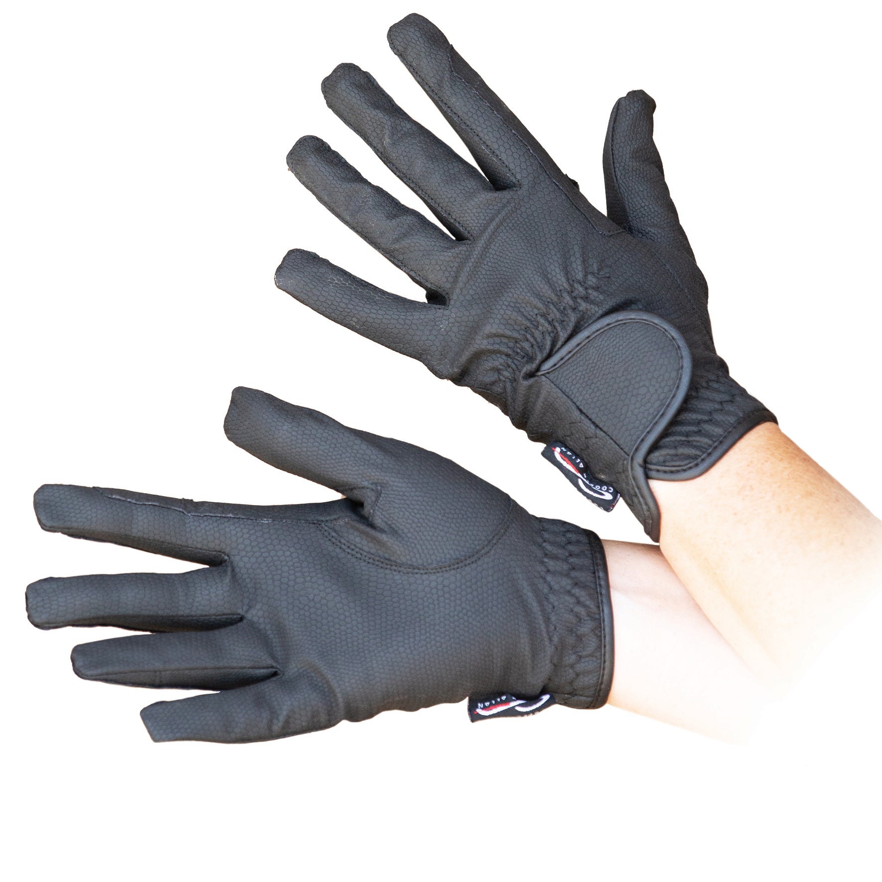 C-Cooper Allan Winter Show Glove (Xlge Black)