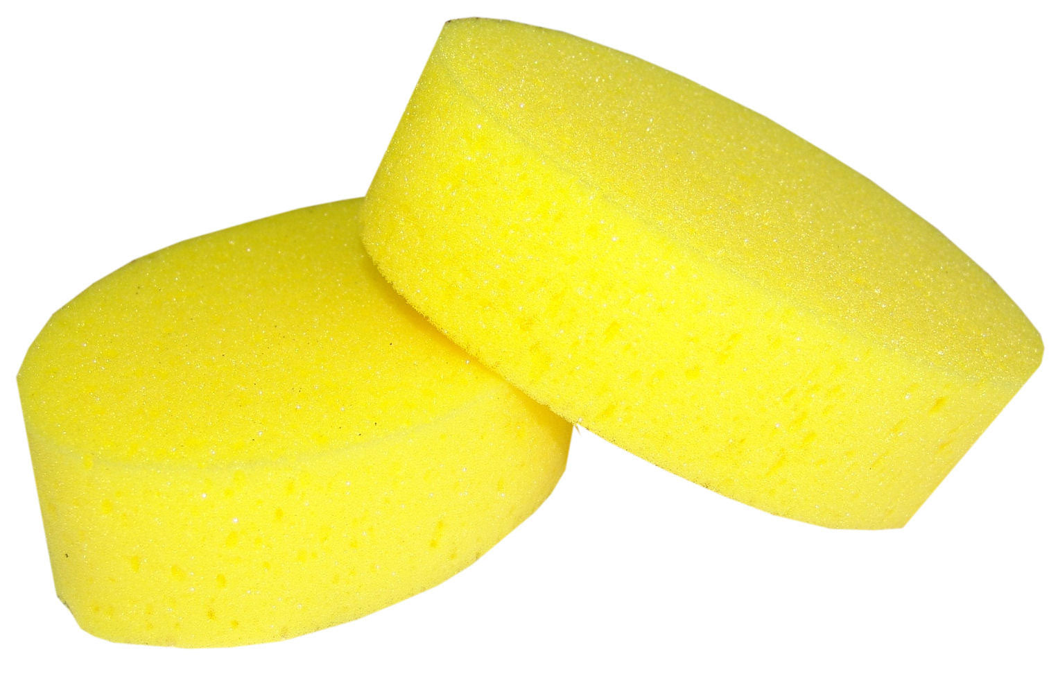 Sponge Grooming One / Medium