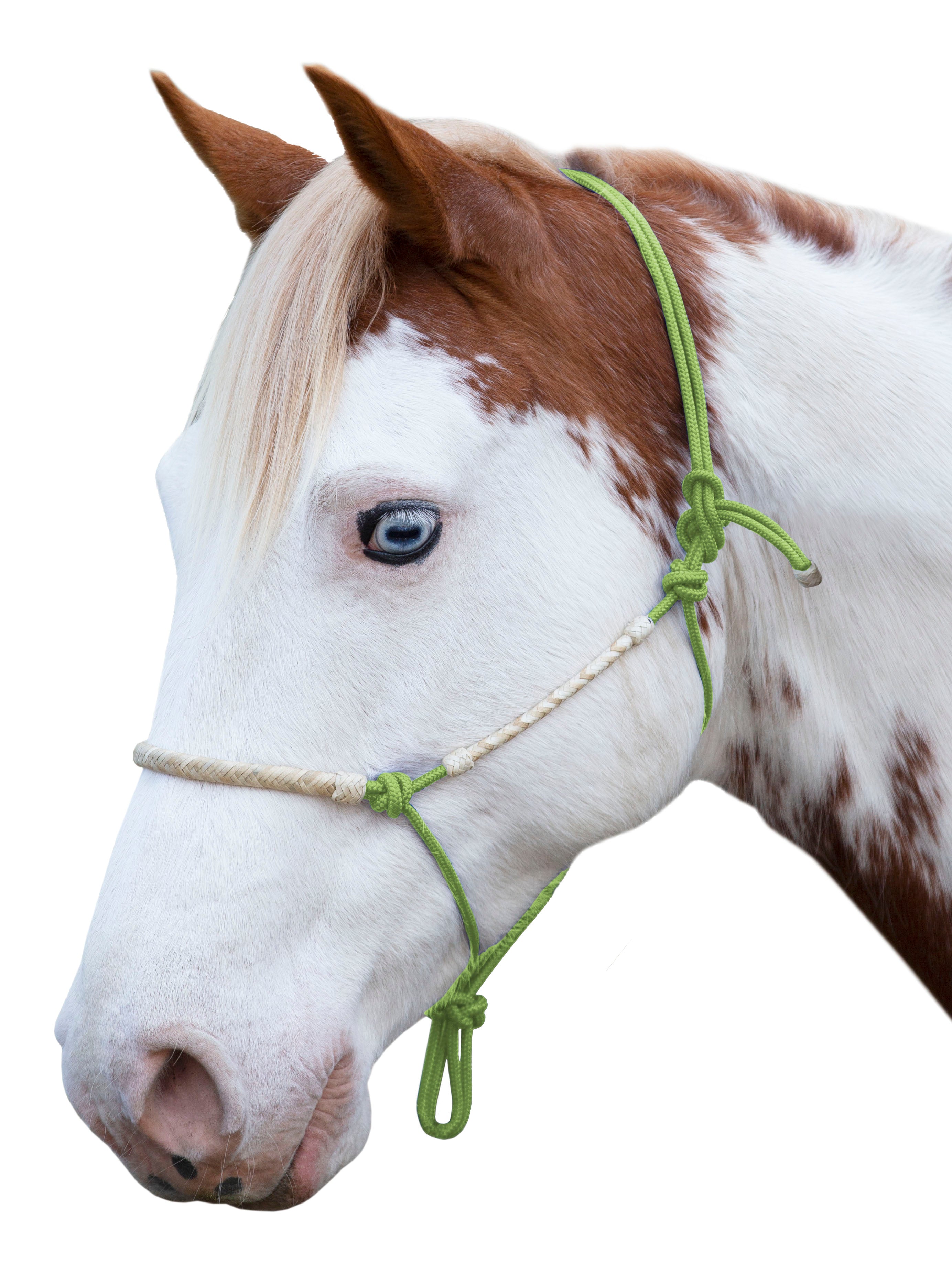 Enzo Dakota Rawhide Rope Halter Black / Cob