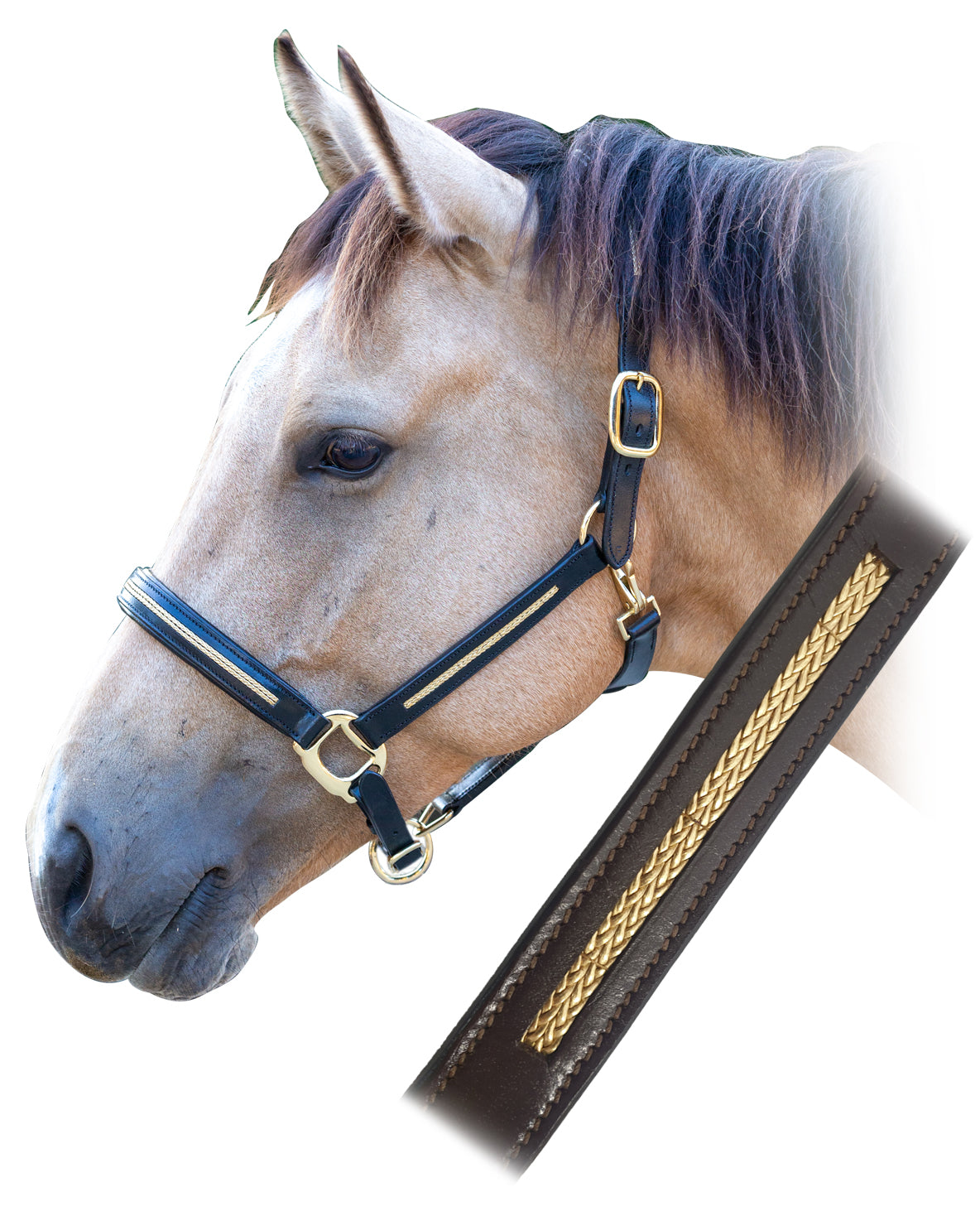 Enzo Classic Leather Halter Black / Cob