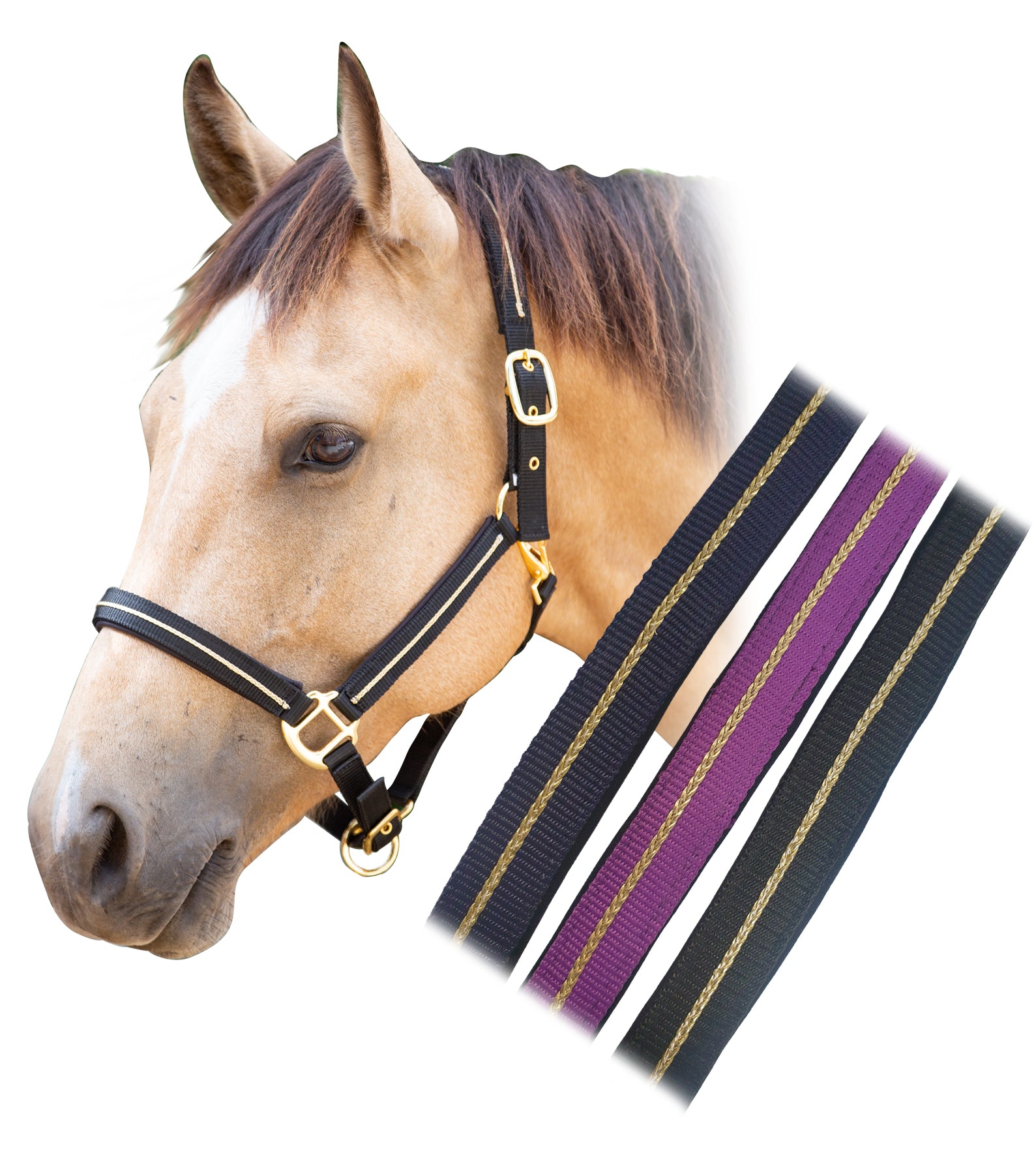 Enzo Classic Web Halter Black / Cob