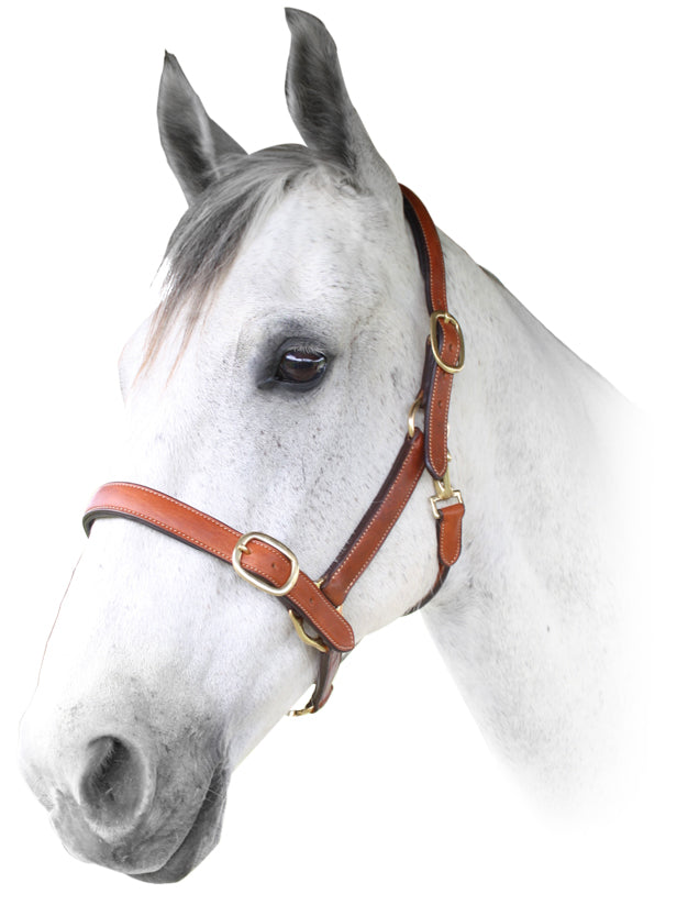 Enzo Euro Leather Halter Tan / Full