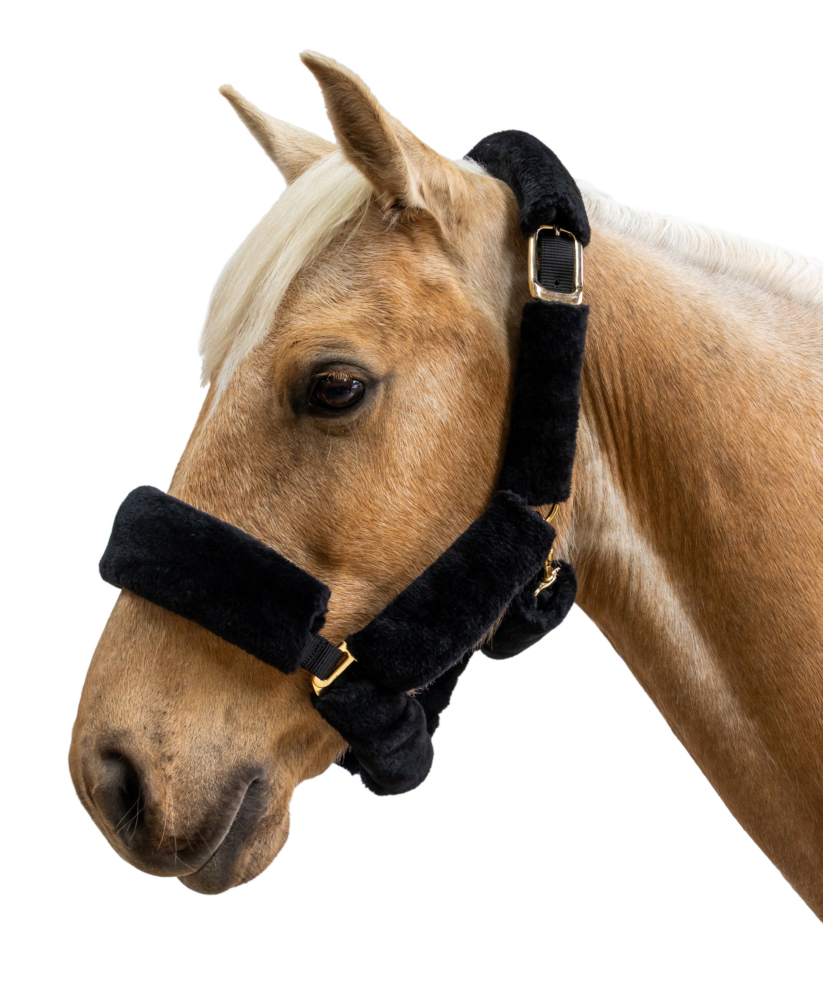 Enzo Fleece Travel Halter One / Cob