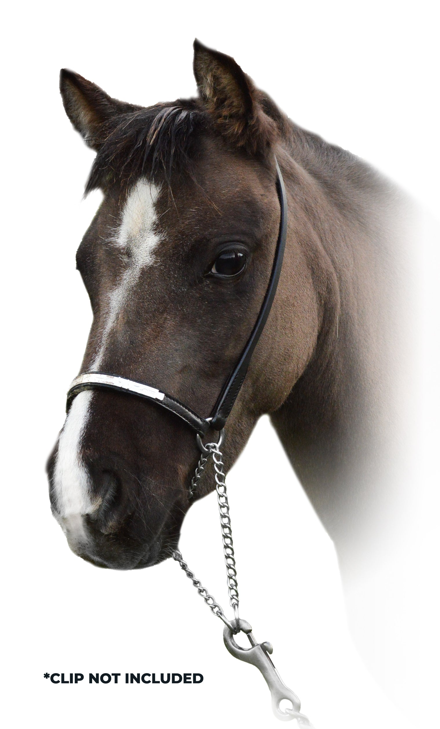 Enzo Mini Show Halter One / Large