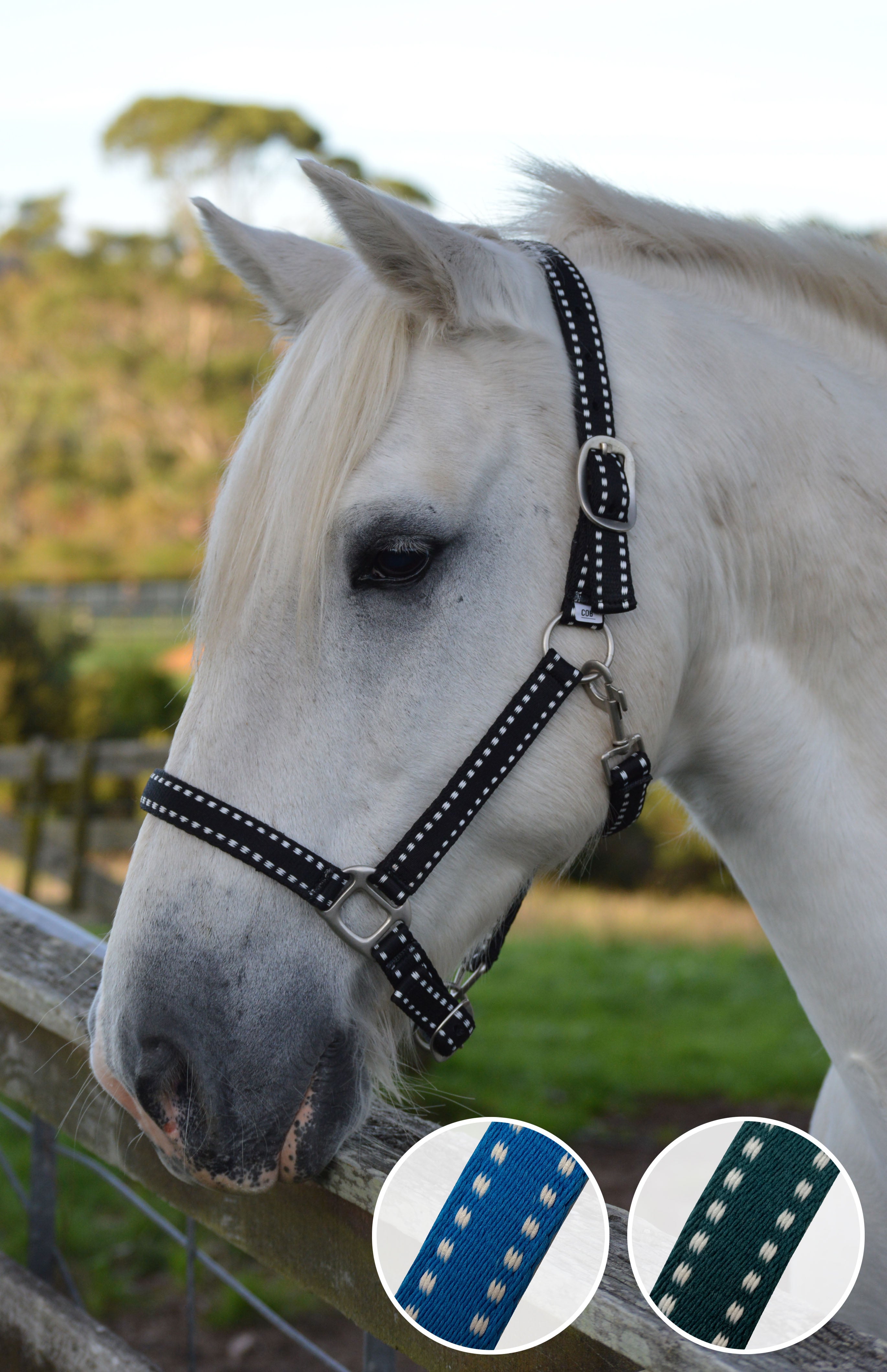 Enzo Super Soft Halter Black/White / Cob