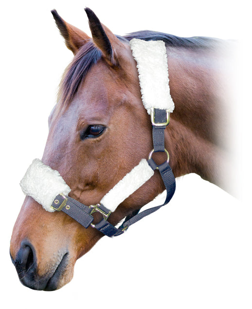 Fleece Cover Set For Halter Black / All