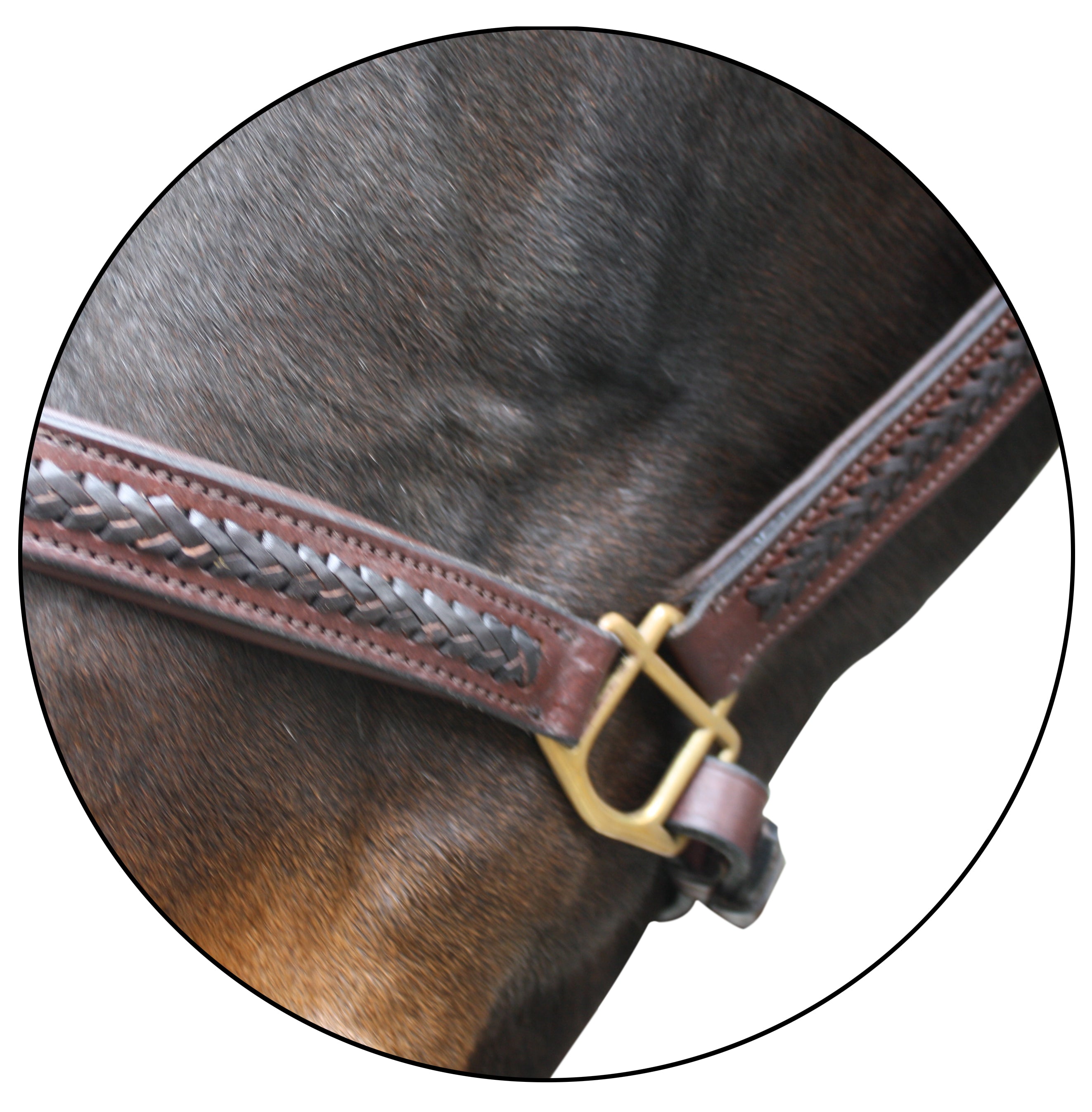 Origin Braided Leather Halter One / Cob