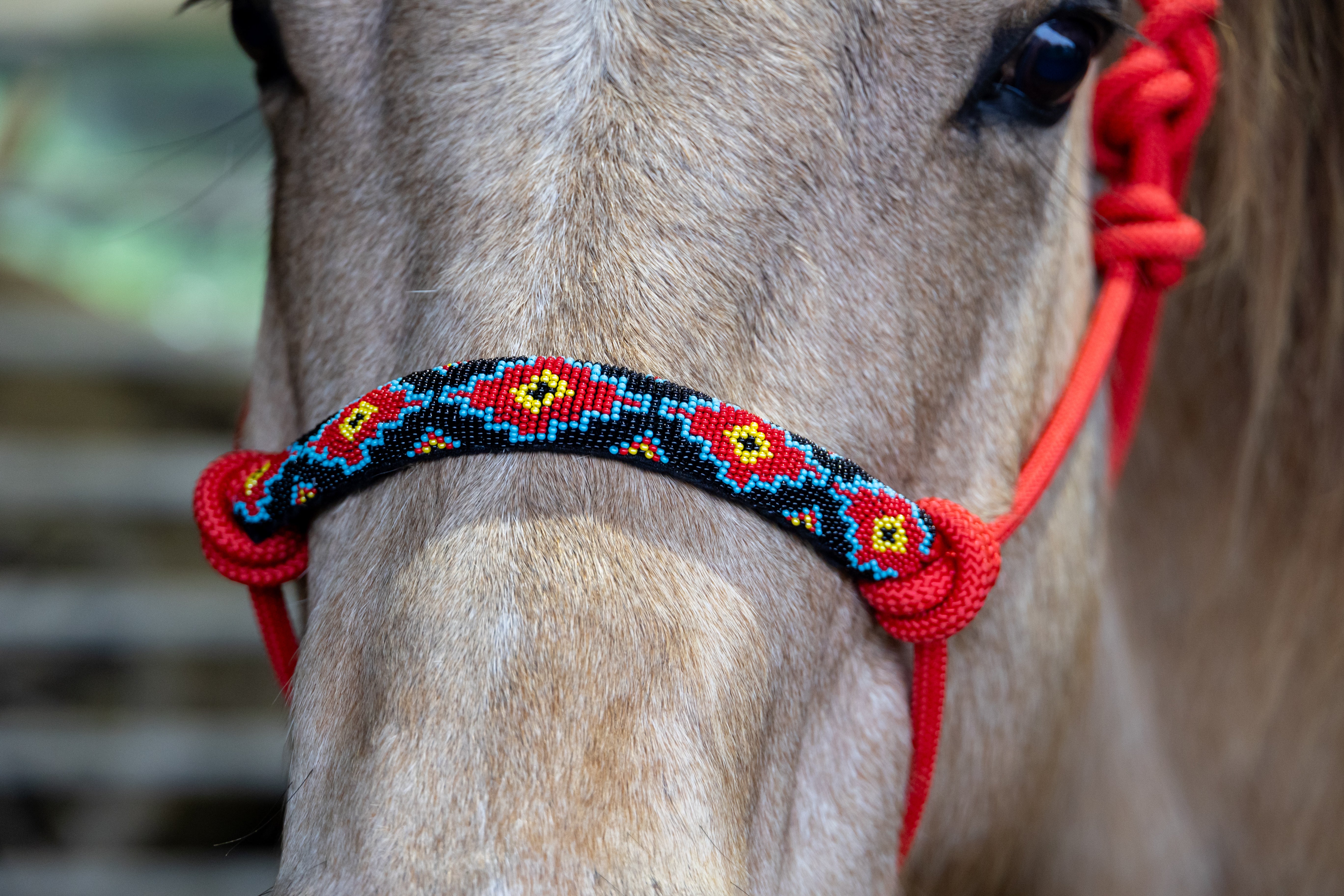 Origin Cheyenne Rope Halter Black / All