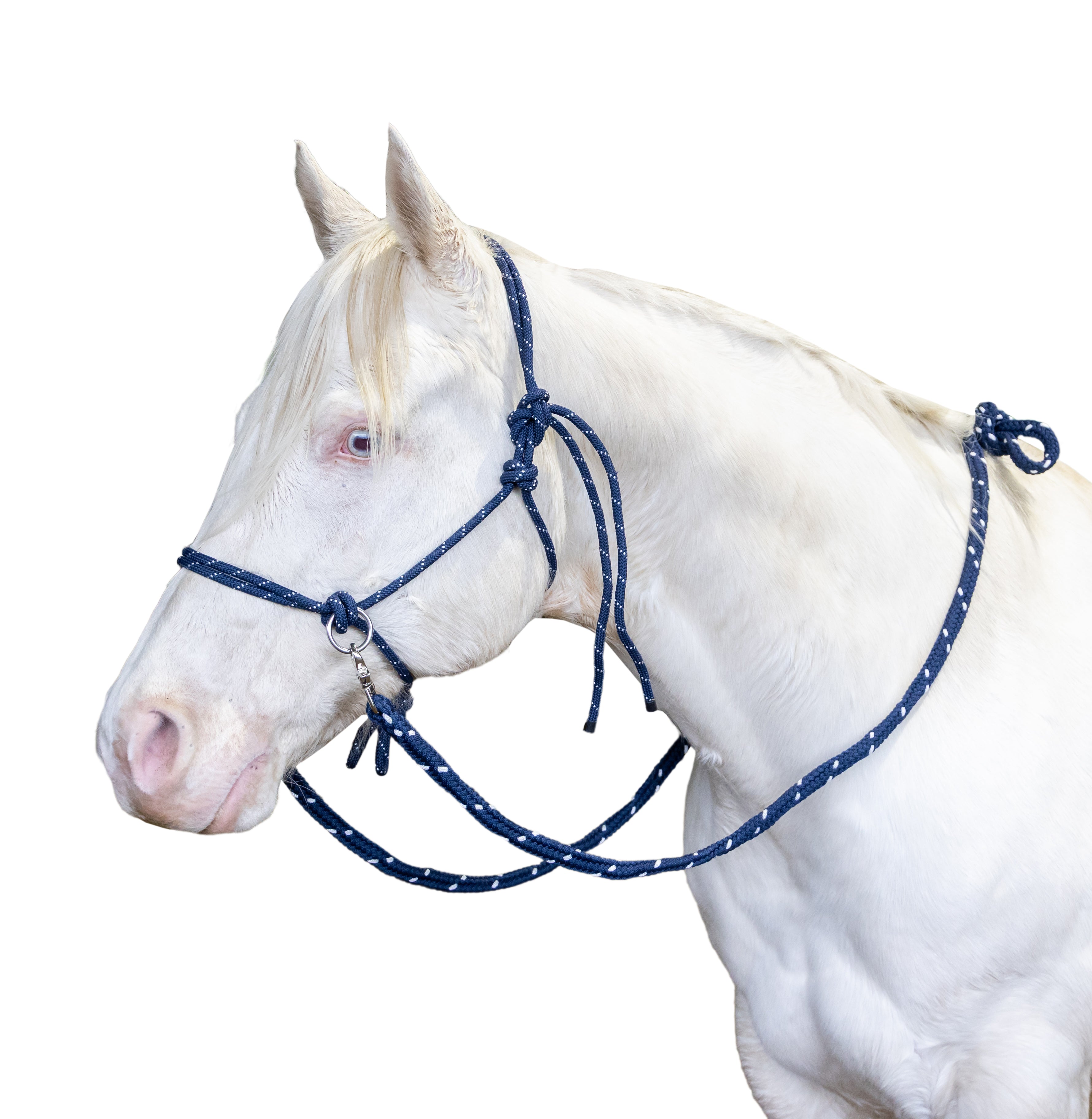 Origin Rope Halter w/ Reins Black / All