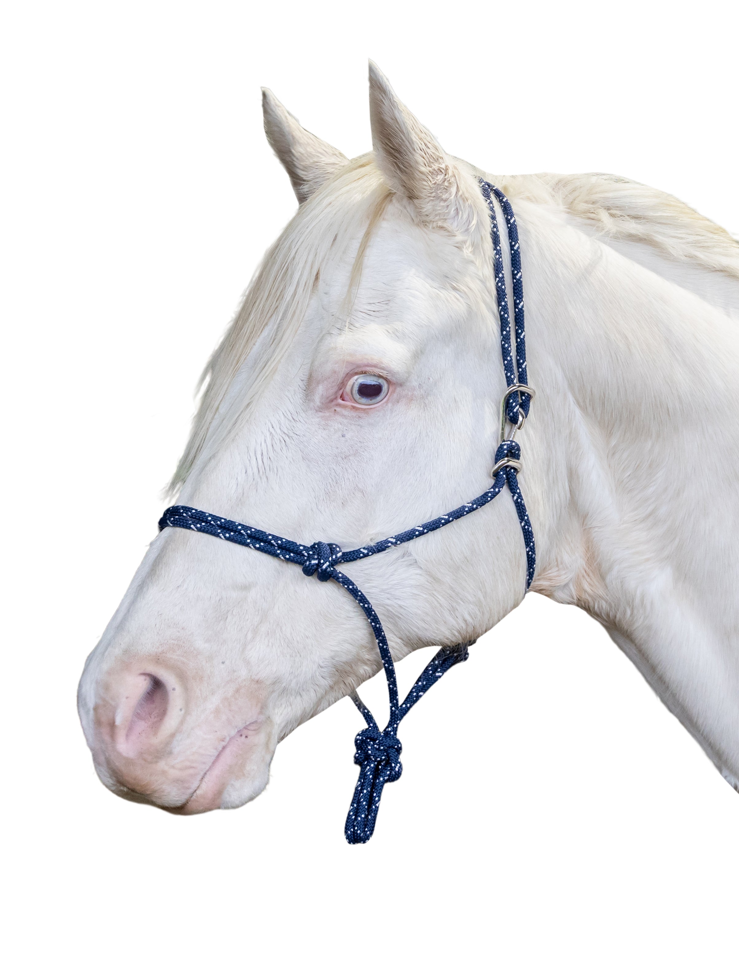 Origin Rope Halter w/Clip Black / All