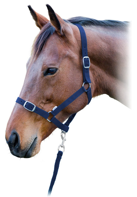 Prima Halter & Lead Set Lavender / Full