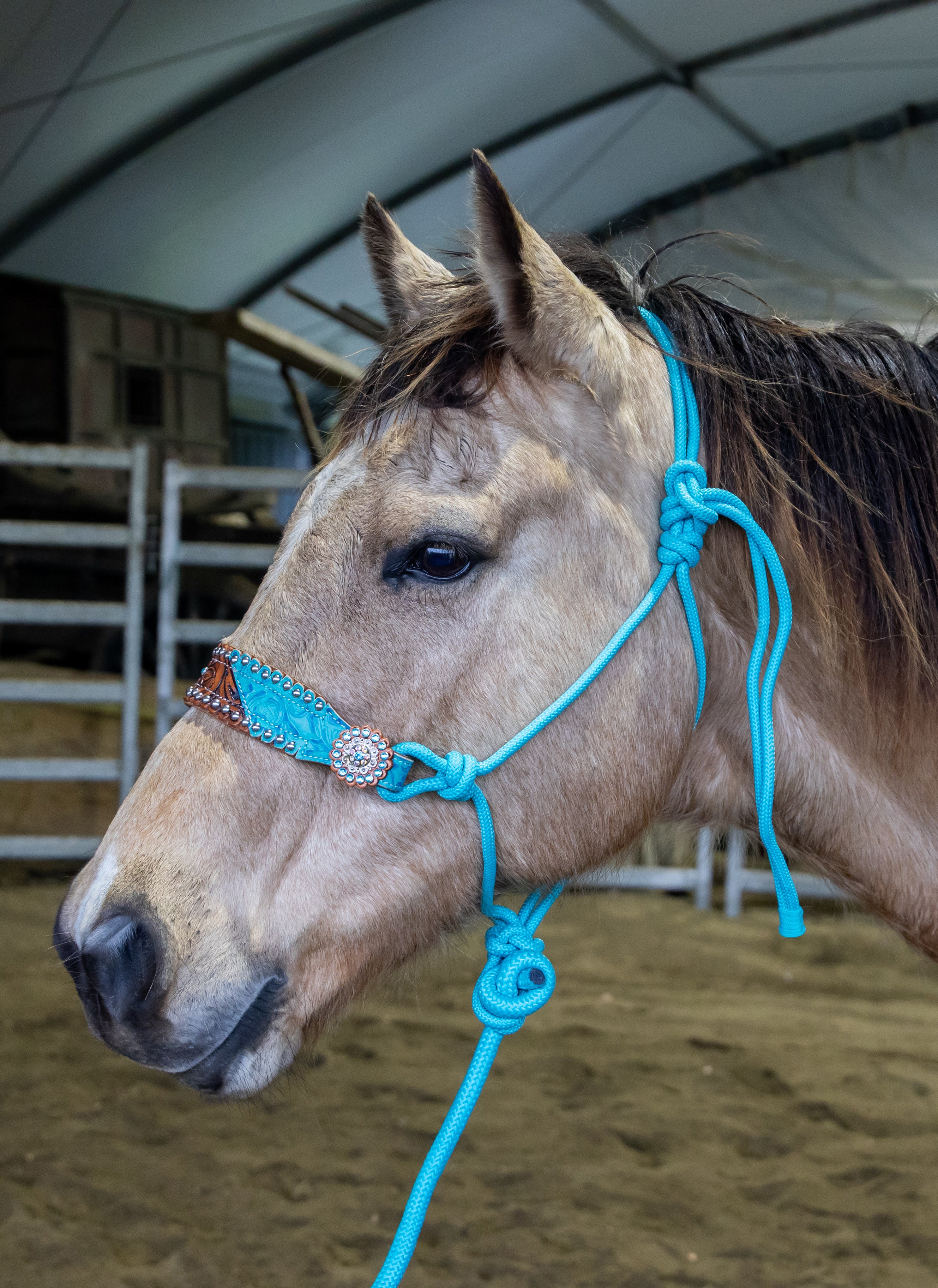 Origin Tokala Halter w/Lead Blue / All