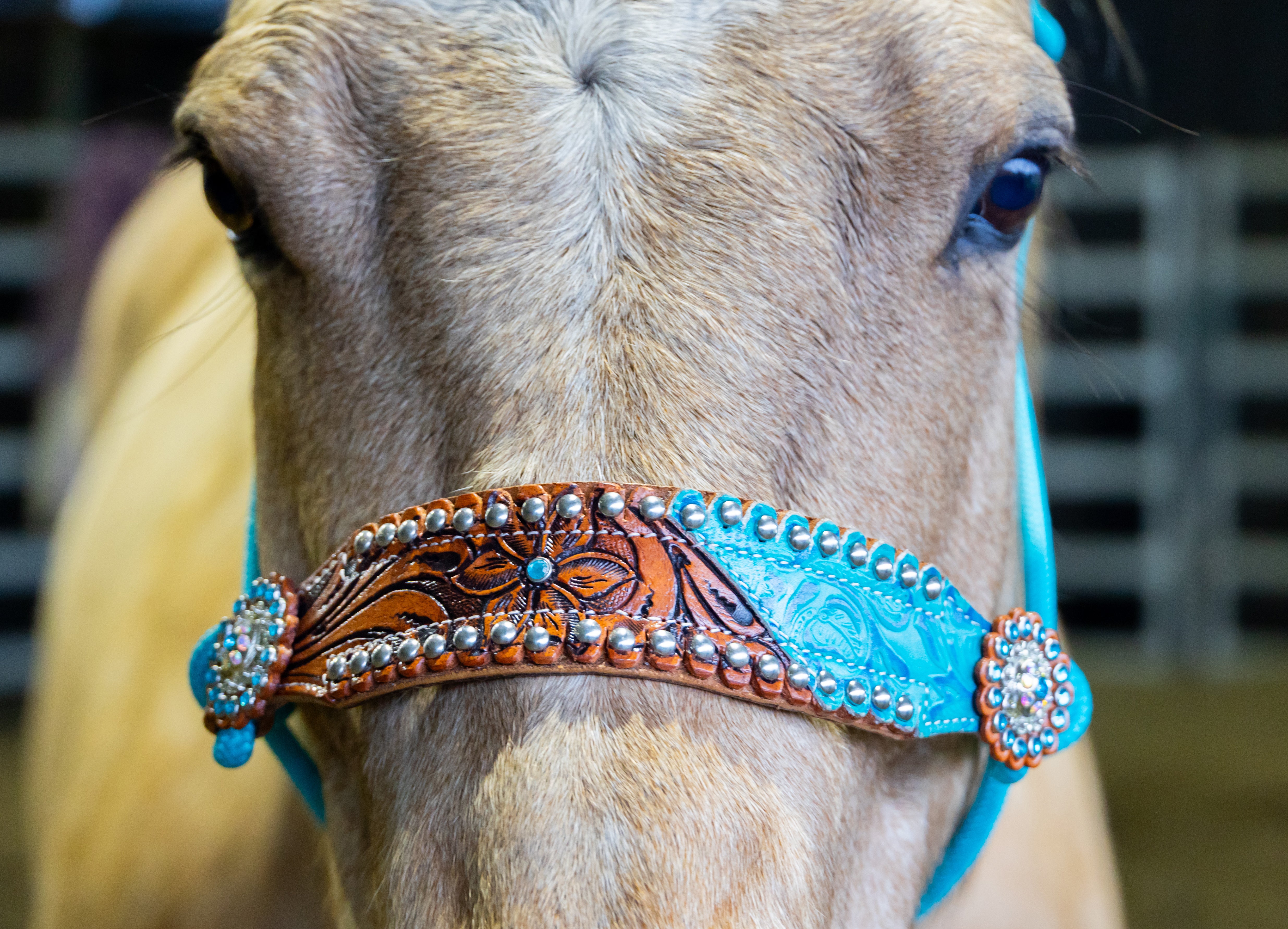 Origin Tokala Halter w/Lead Blue / All