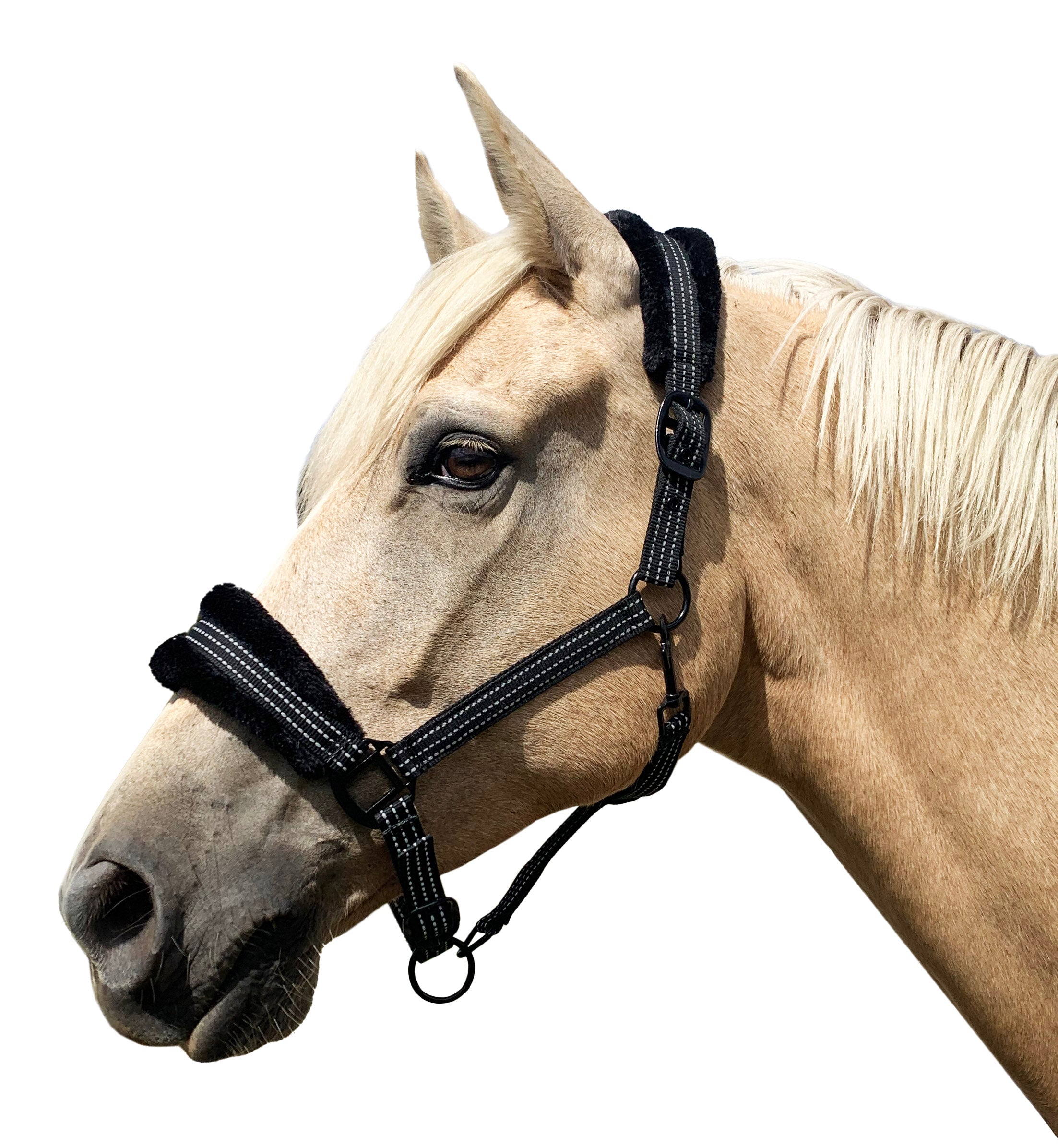 Prima Reflective Fleece Halter One / Cob