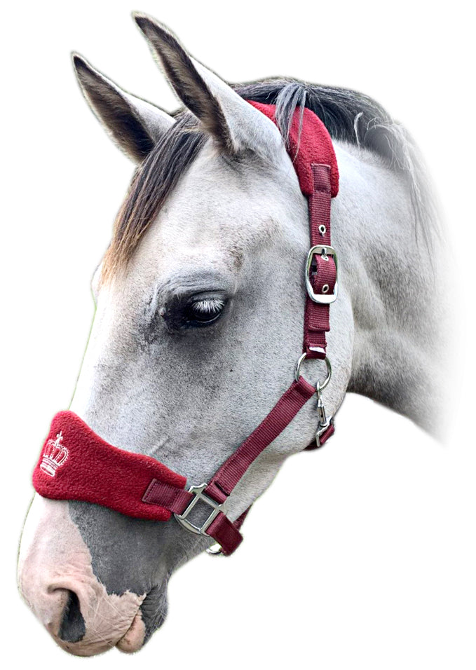 Prima Royale Fleece Halter Grey / Full